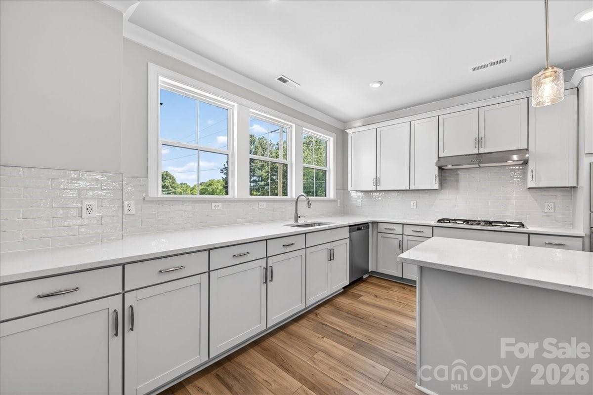 Ample storage in the gourmet kitchen - 12023 Elsa Lane, Charlotte