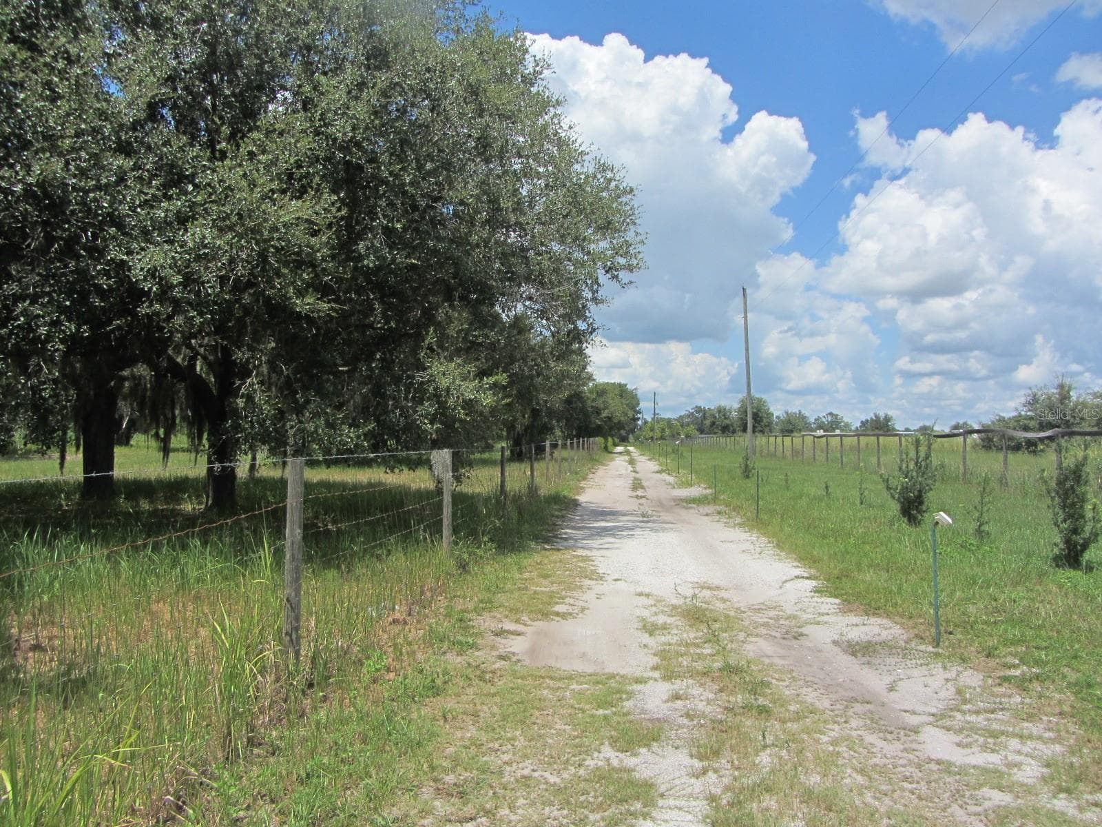 Single Family Residence at 46365 STATE ROAD 64 E, MYAKKA CITY, photo 47 of 56