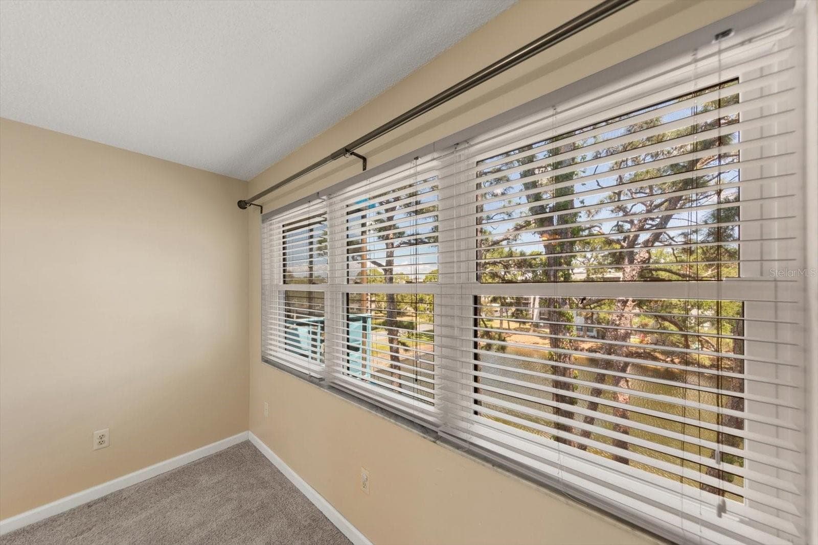 Big picture window in the master of the pond - 5970 80TH ST N #411, ST PETERSBURG