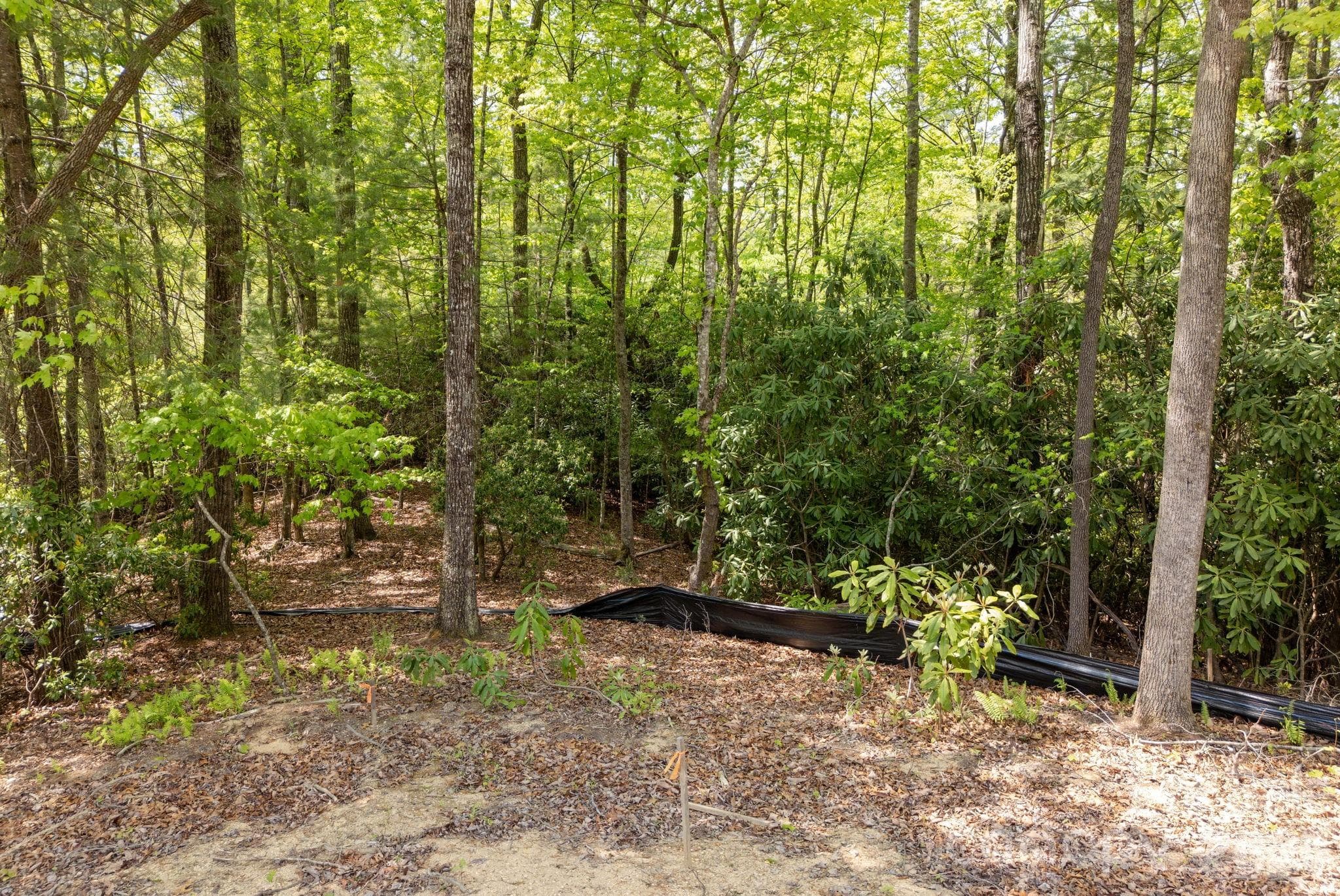 Lot at Hendersonville, photo 14 of 15