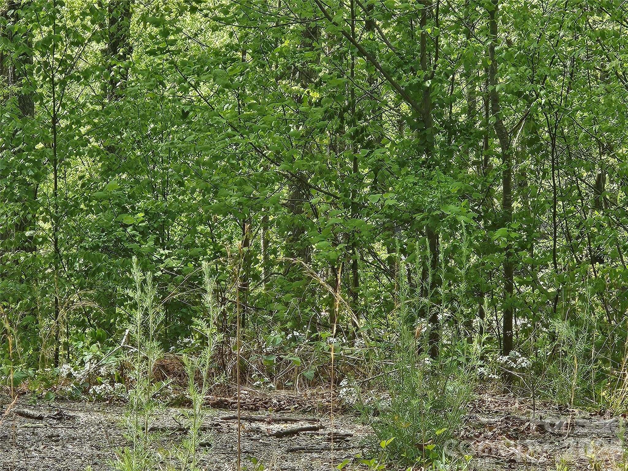 Lot at 22 Graulich Lane, Candler, photo 2 of 6