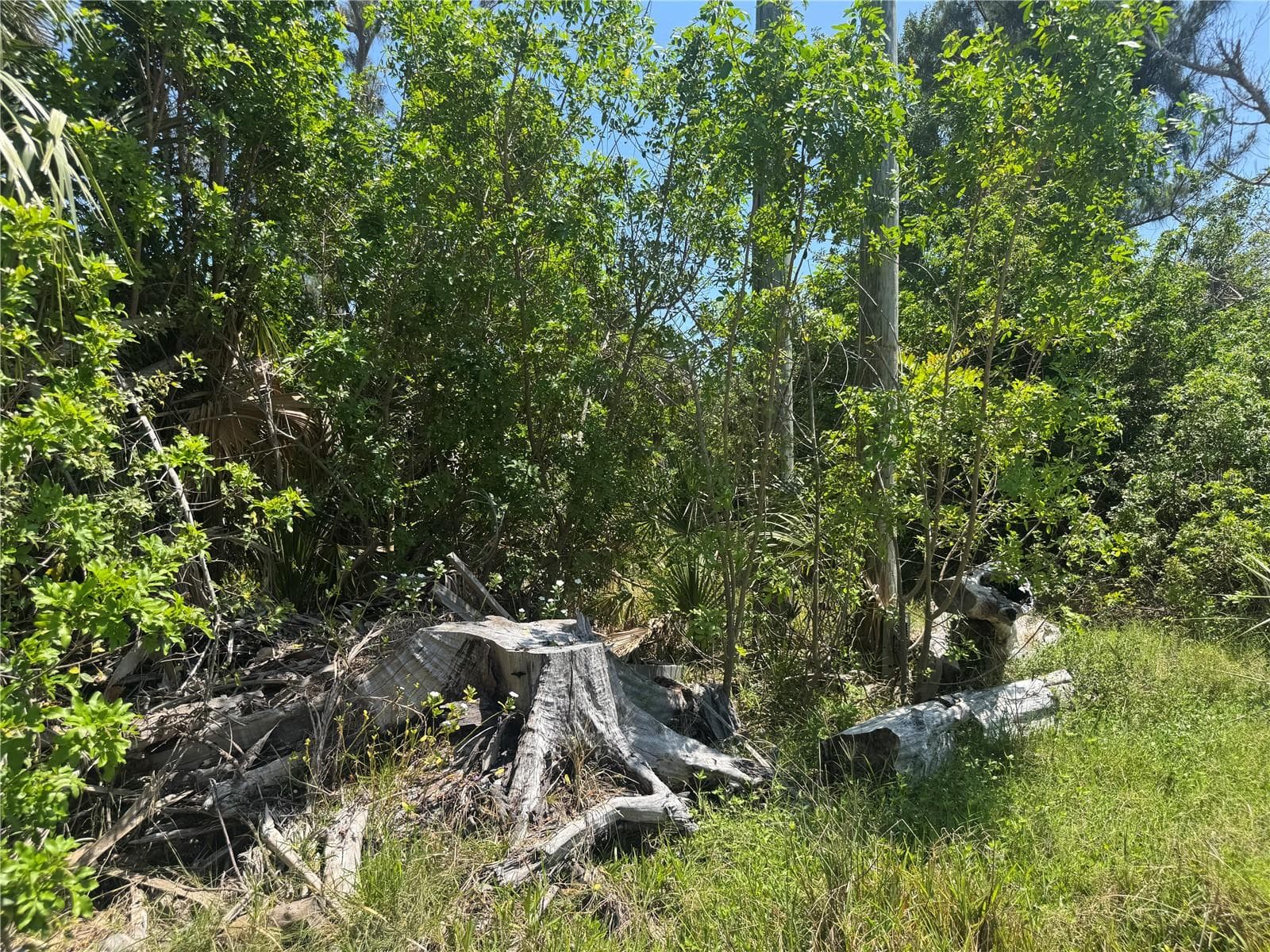 Land at 8992 SEAGRAPE LN, PLACIDA, photo 6 of 28