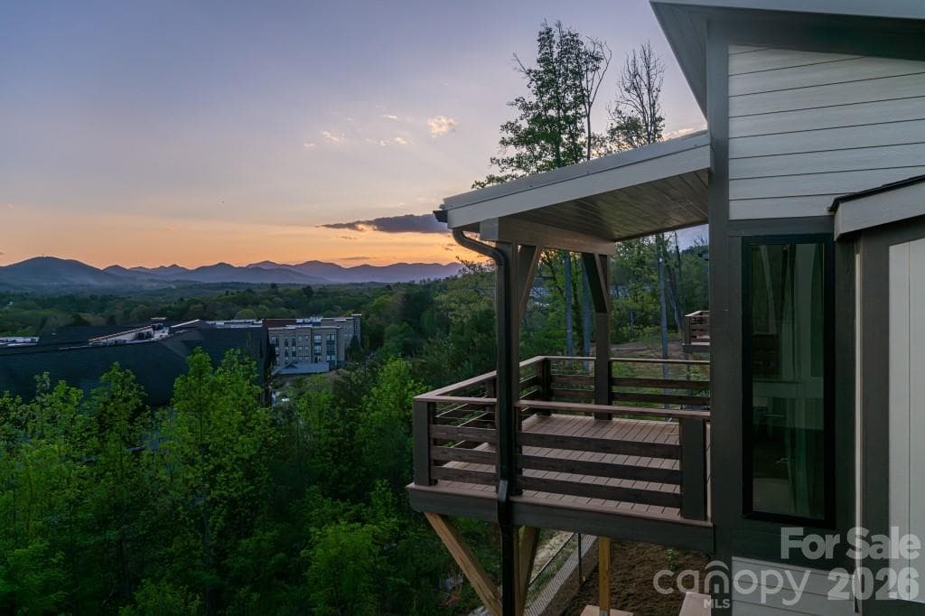 Views from the back deck - Asheville