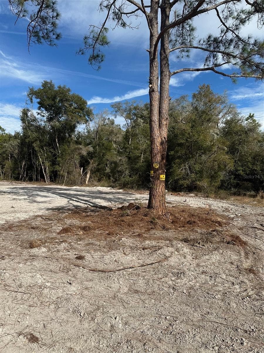 Land at BERRYHILL DR, WEBSTER, photo 2 of 5