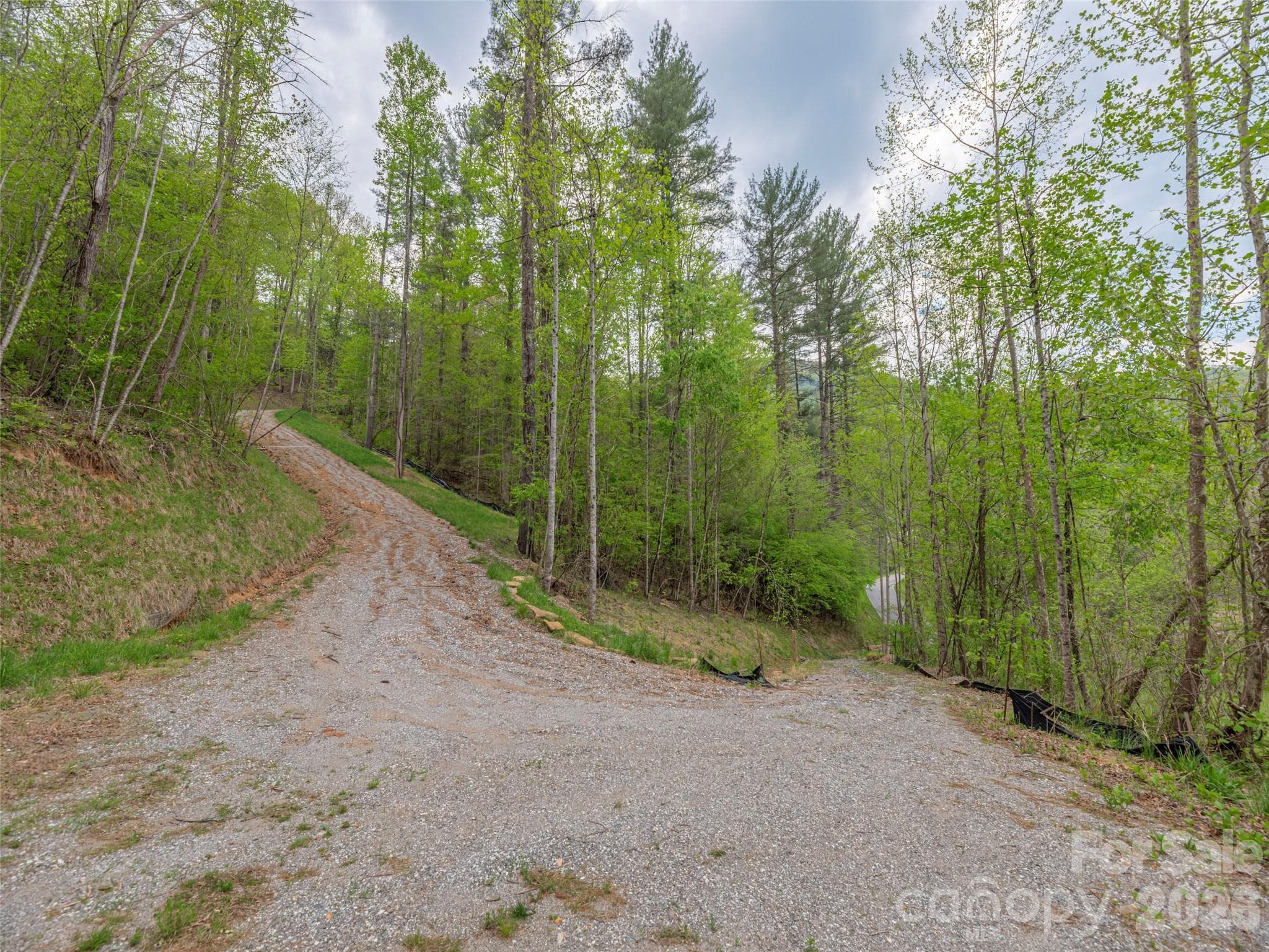 Acreage at 000 Caney Fork Road, Cullowhee, photo 2 of 24