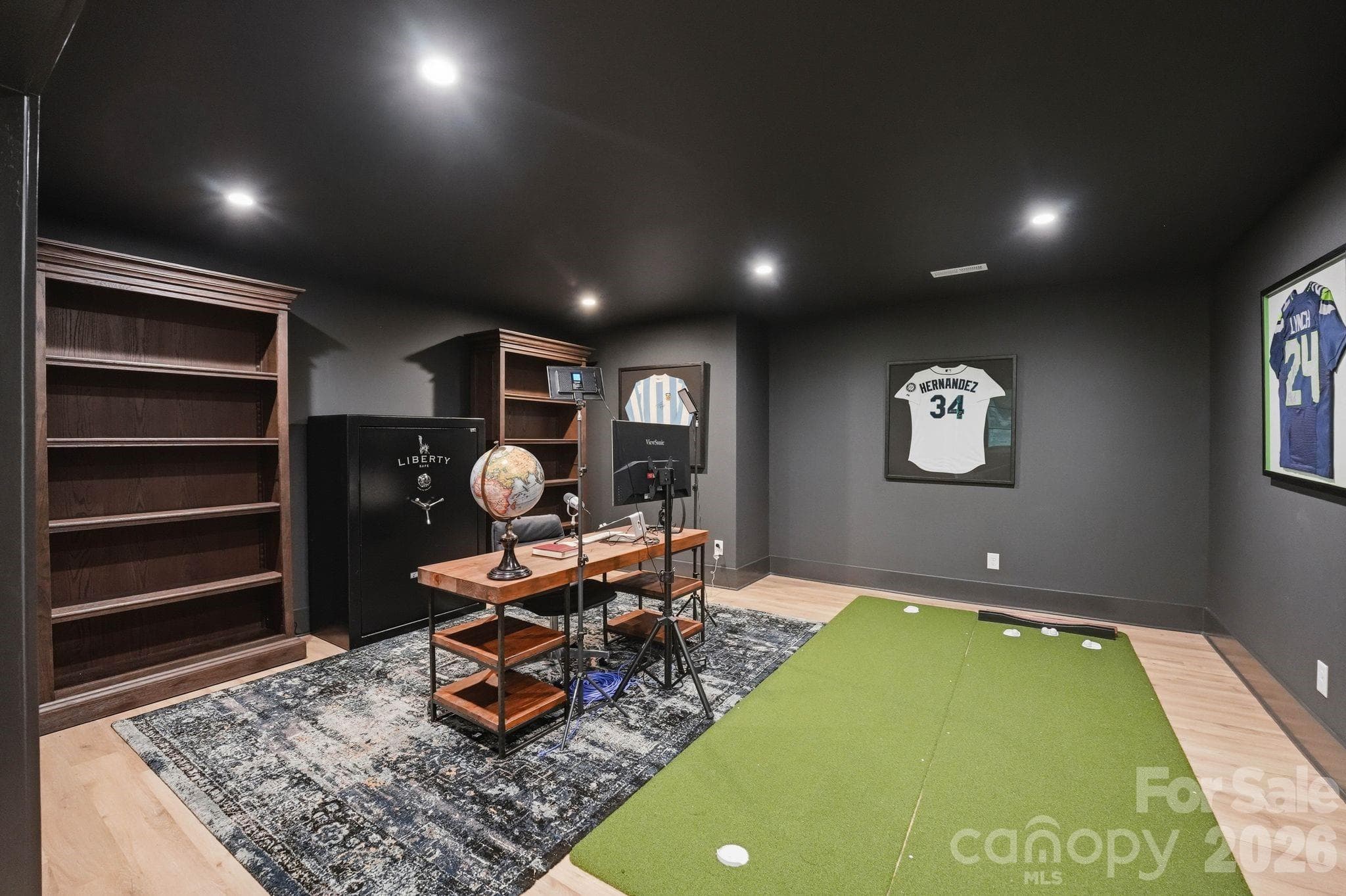 Basement office/flex - Charlotte