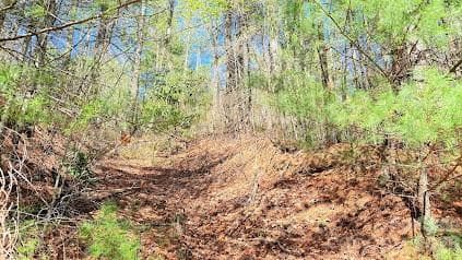 Semi-cleared driveway - Hendersonville