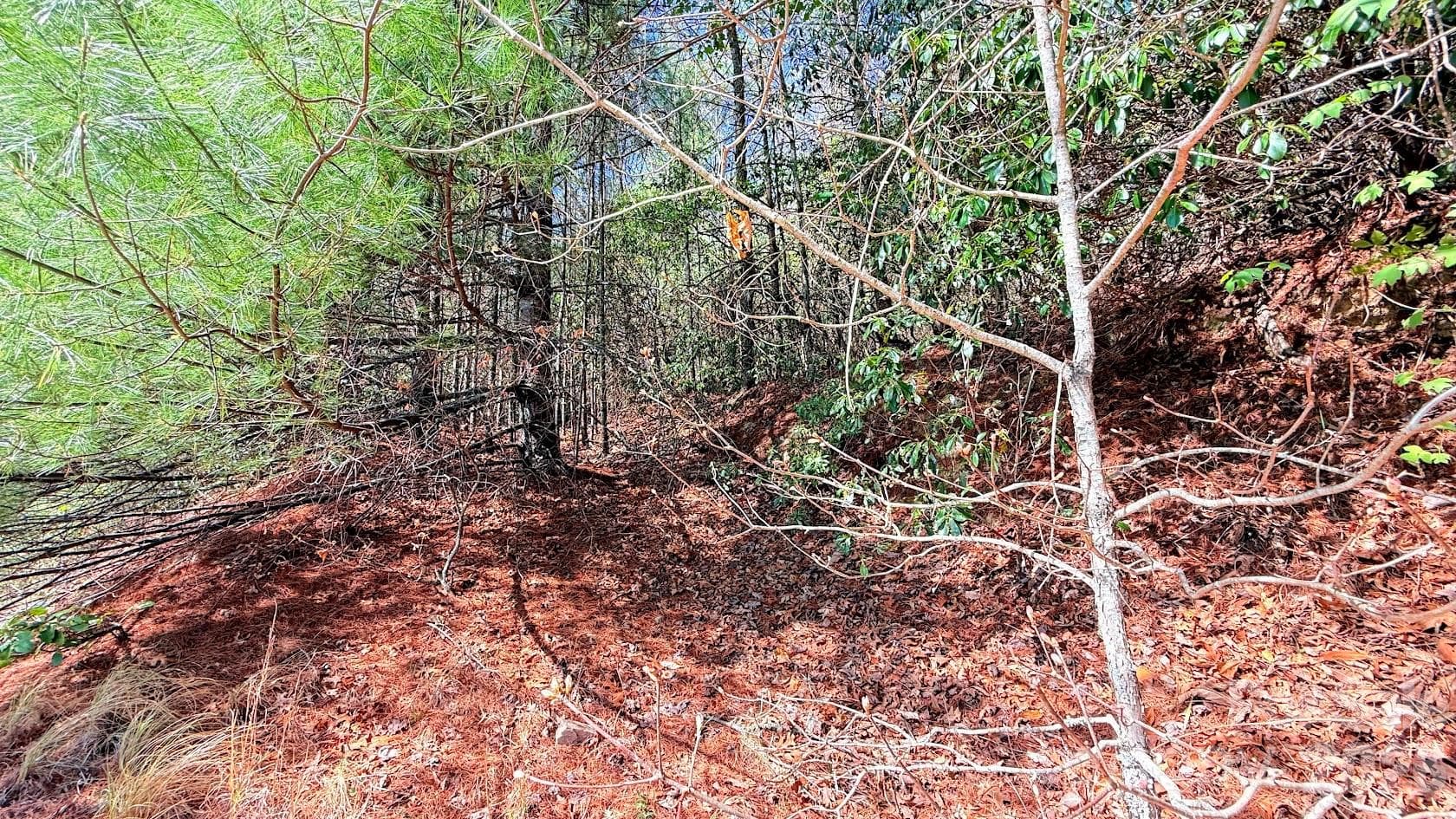Lot at Hendersonville, photo 4 of 12