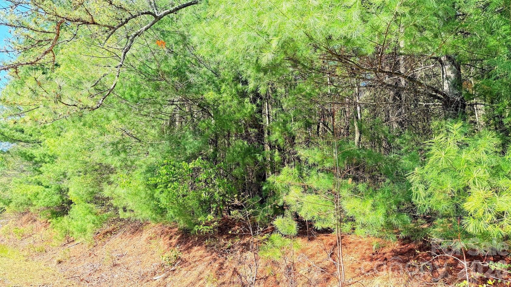 Lot at Hendersonville, photo 10 of 12