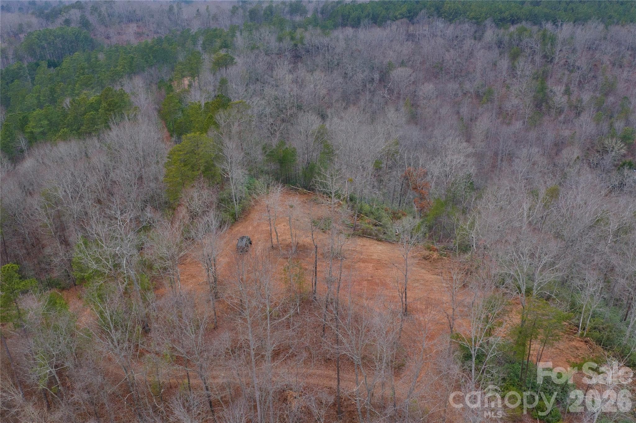 Acreage at Mill Spring, photo 7 of 14