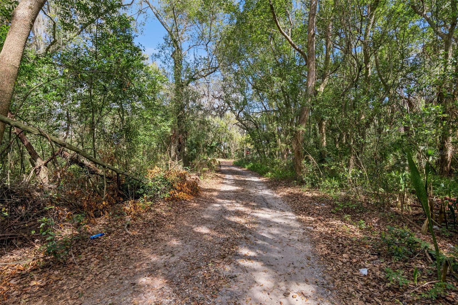Land at MECHANIC ST, MAITLAND, photo 3 of 12