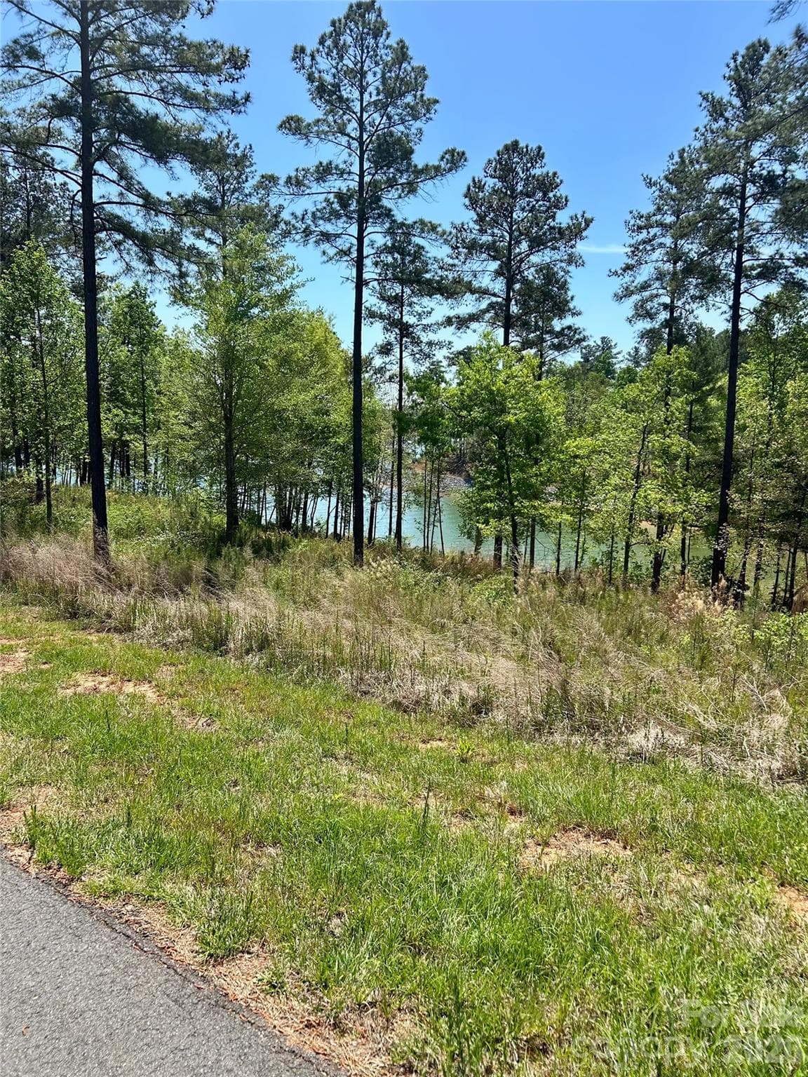 Lot at 2960 Jumping Run, Connelly Springs, photo 10 of 12