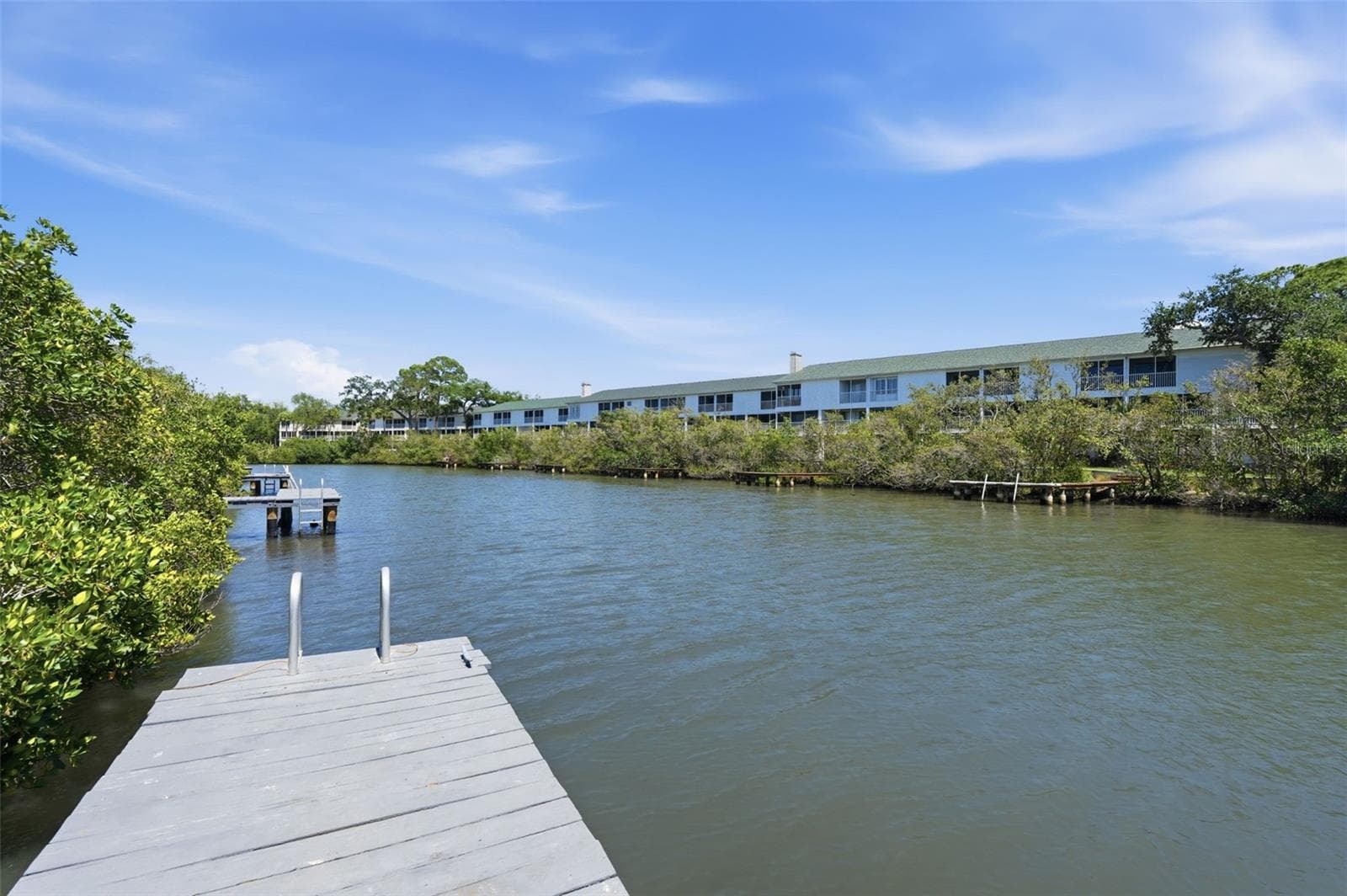 Sit on the dock and watch for dolphin, manatee, spoonbill & otter - 14837 SEMINOLE TRL, SEMINOLE
