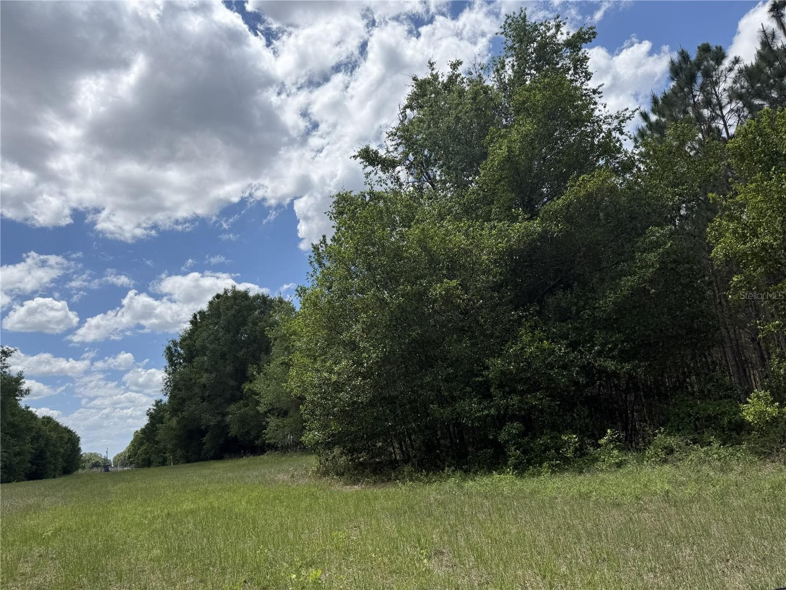 Land at 0 NW 140TH ST, CHIEFLAND, photo 13 of 33