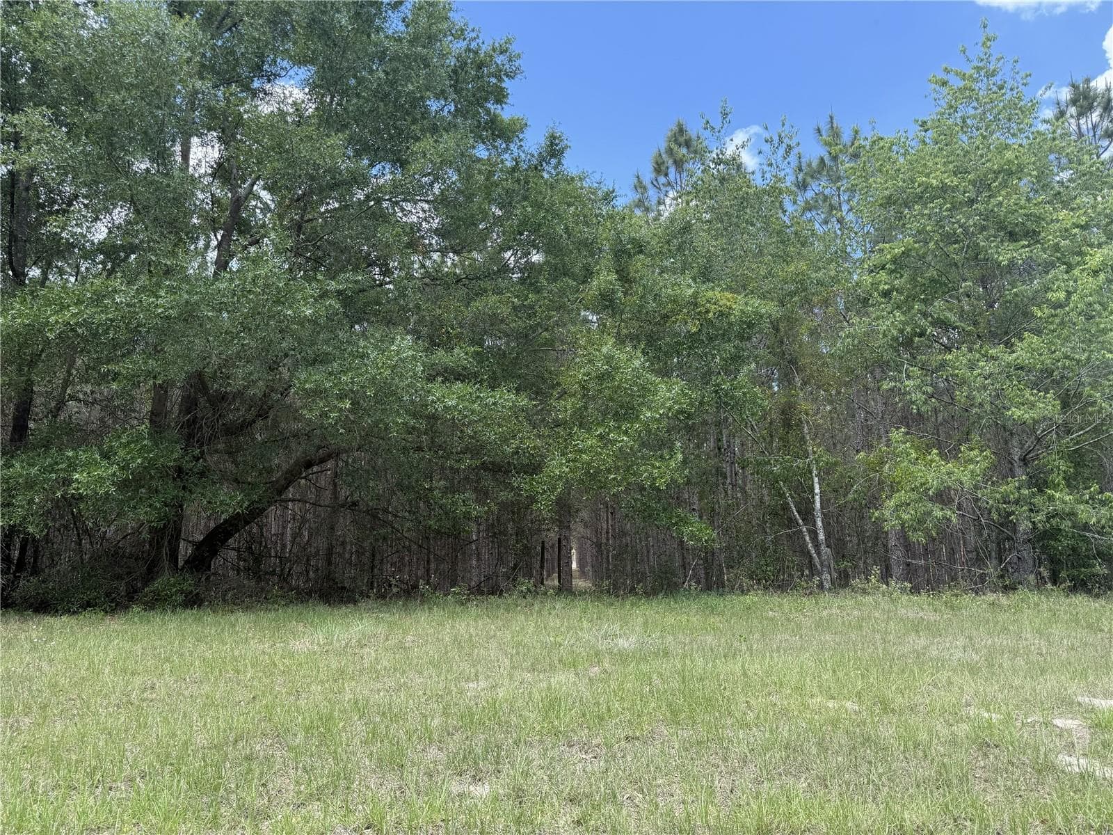 Land at 0 NW 140TH ST, CHIEFLAND, photo 16 of 33