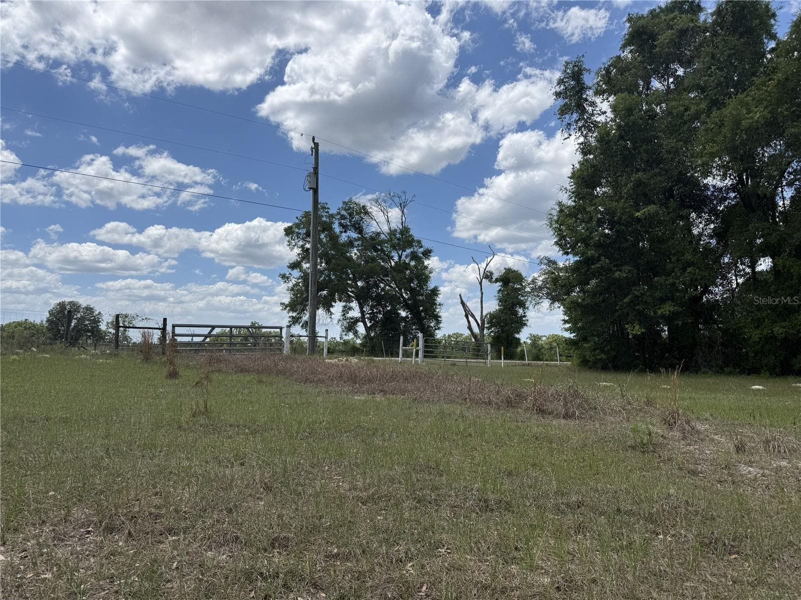 Land at 0 NW 140TH ST, CHIEFLAND, photo 19 of 33