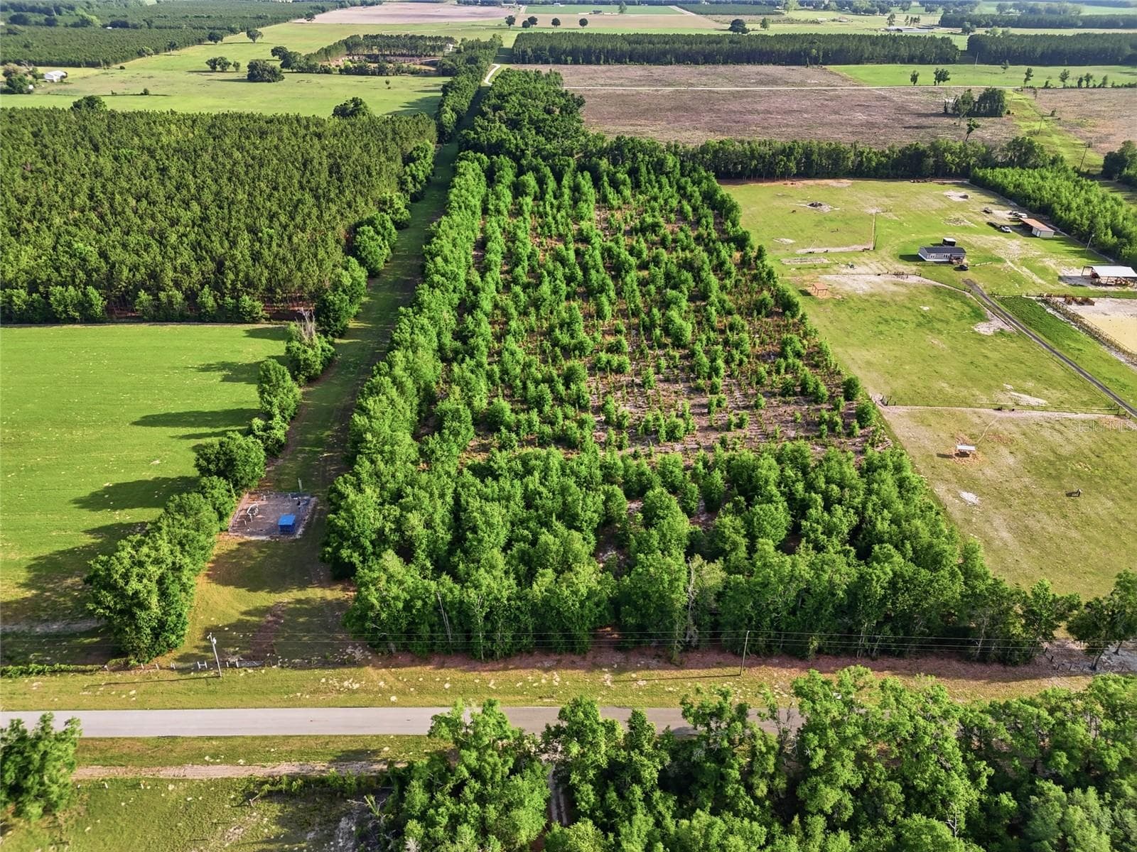 Land at 0 NW 140TH ST, CHIEFLAND, photo 24 of 33