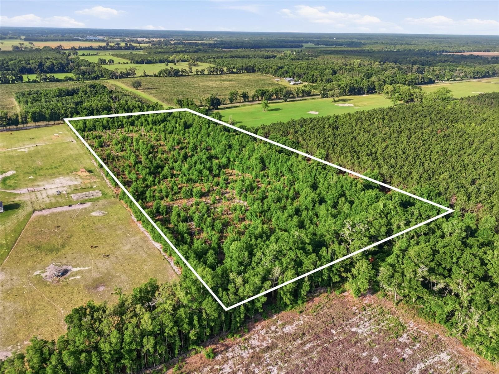 Land at 0 NW 140TH ST, CHIEFLAND, photo 27 of 33