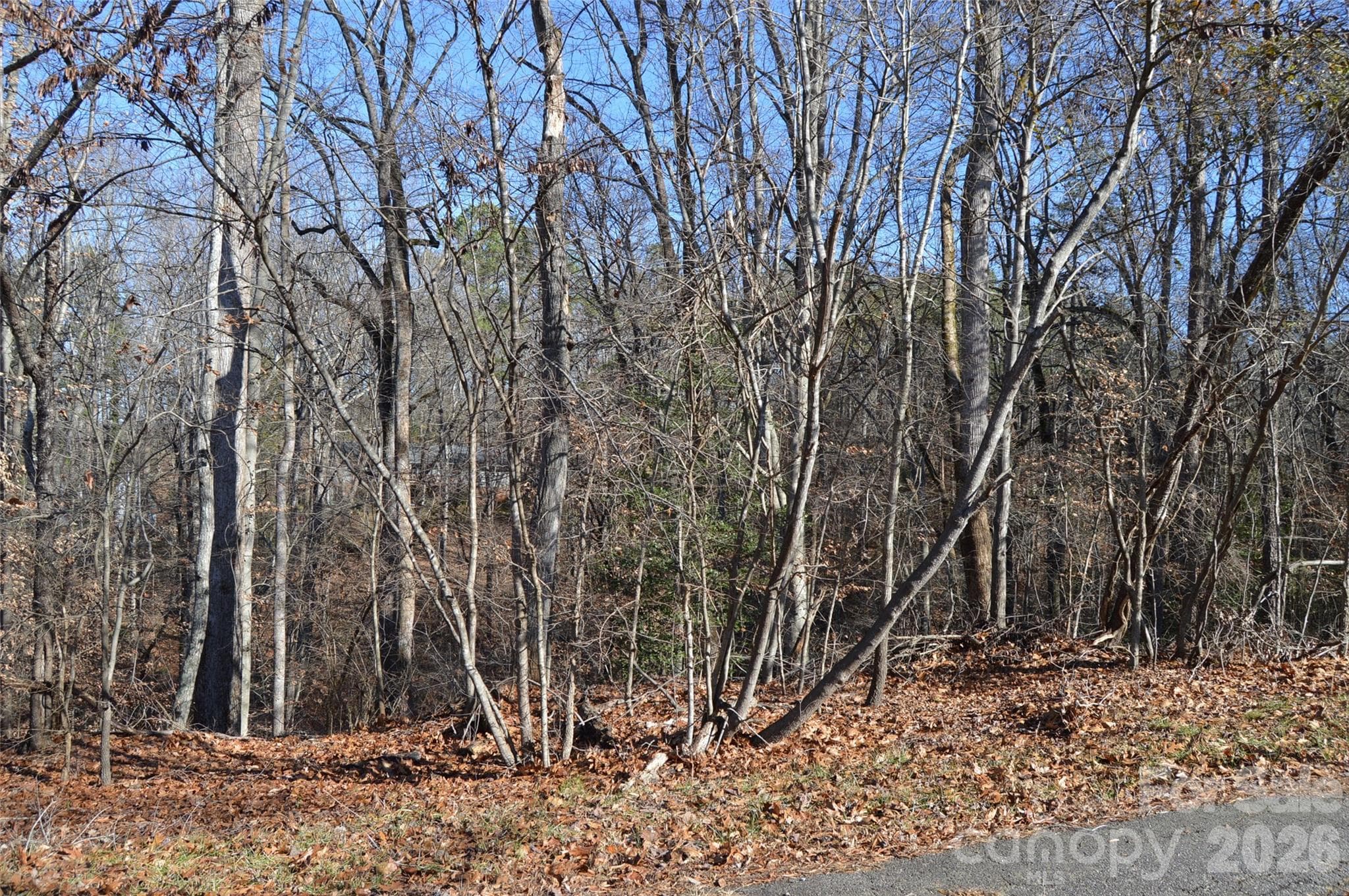 Lot at Statesville, photo 3 of 12