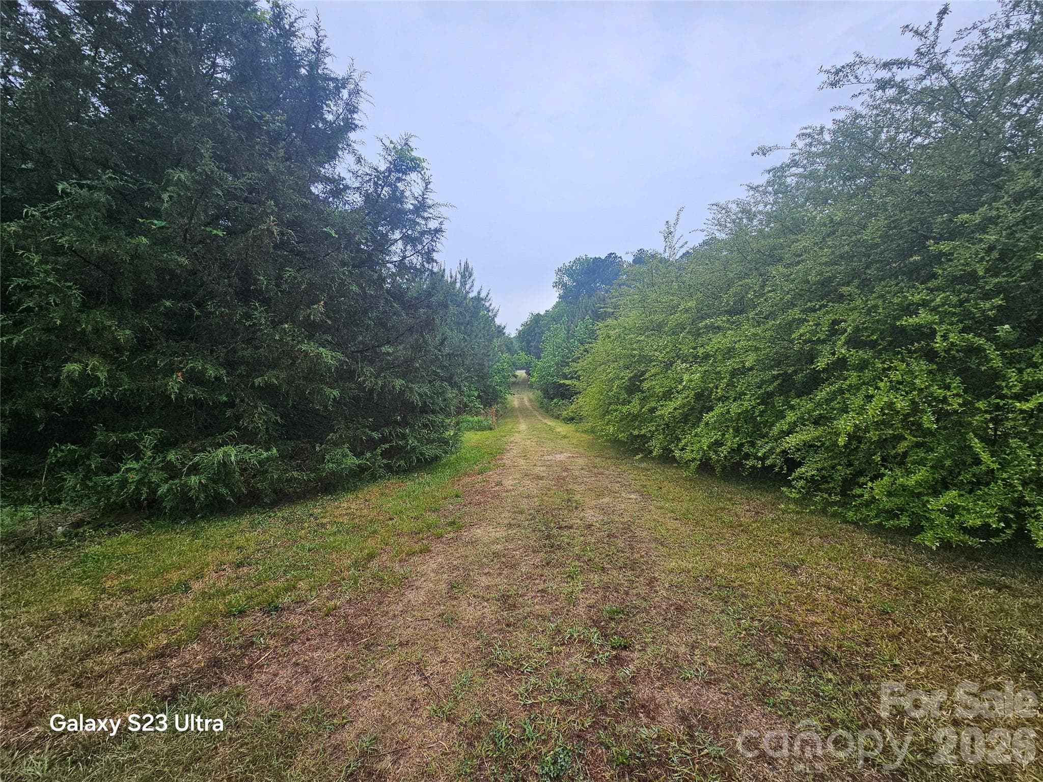 Entrance - 11056 US Highway 52 Highway N, Wadesboro