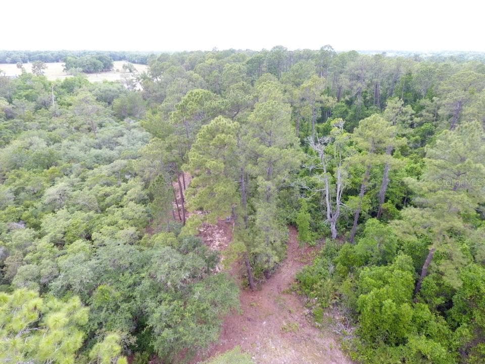 161 SNAKE HILL RD