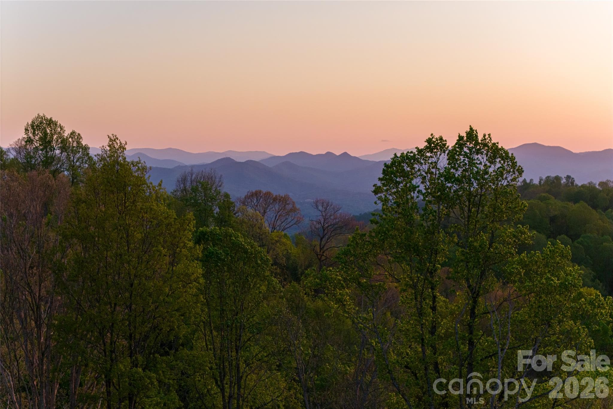 Acreage at Asheville, photo 4 of 48