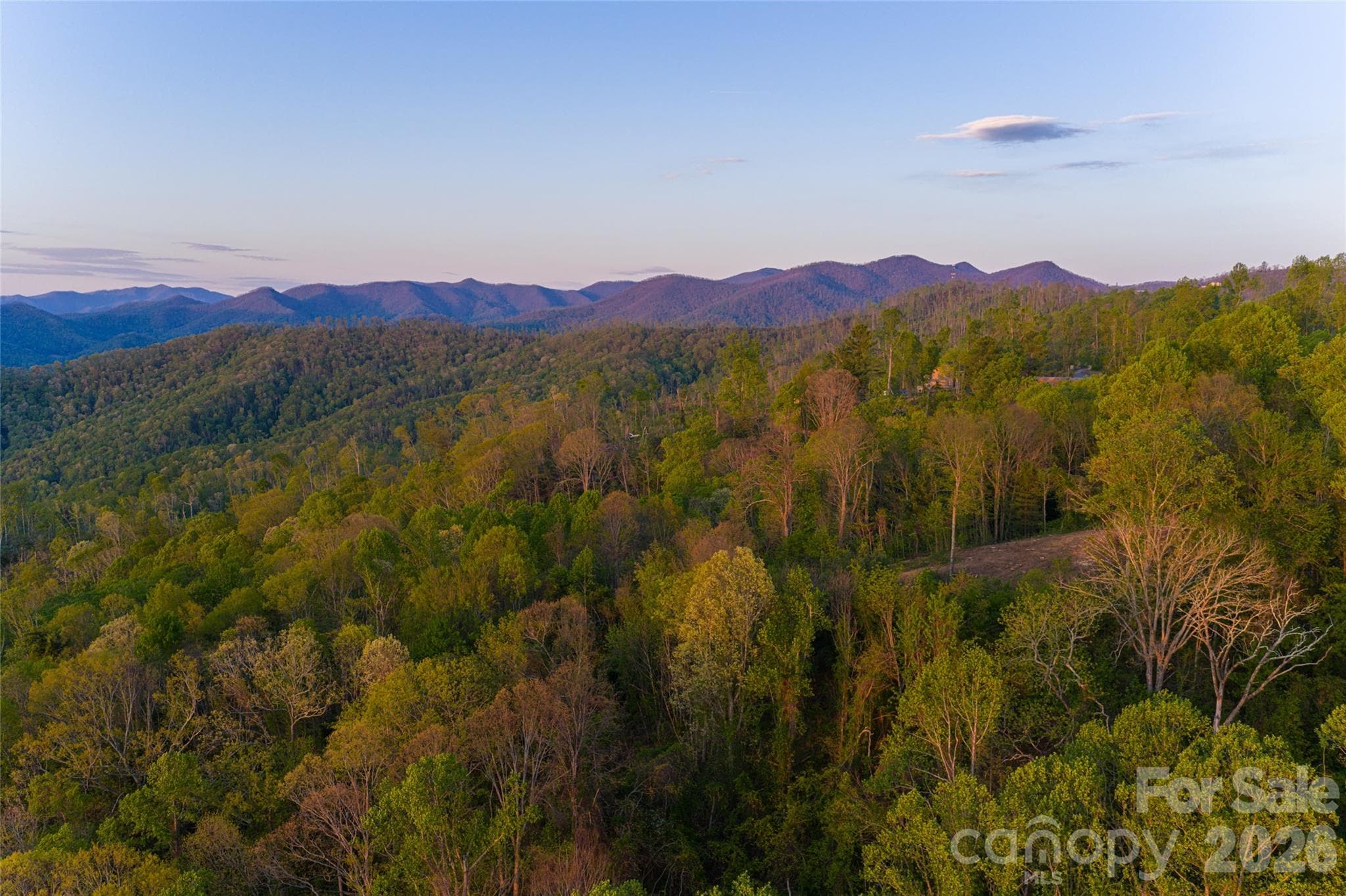 Acreage at Asheville, photo 7 of 48