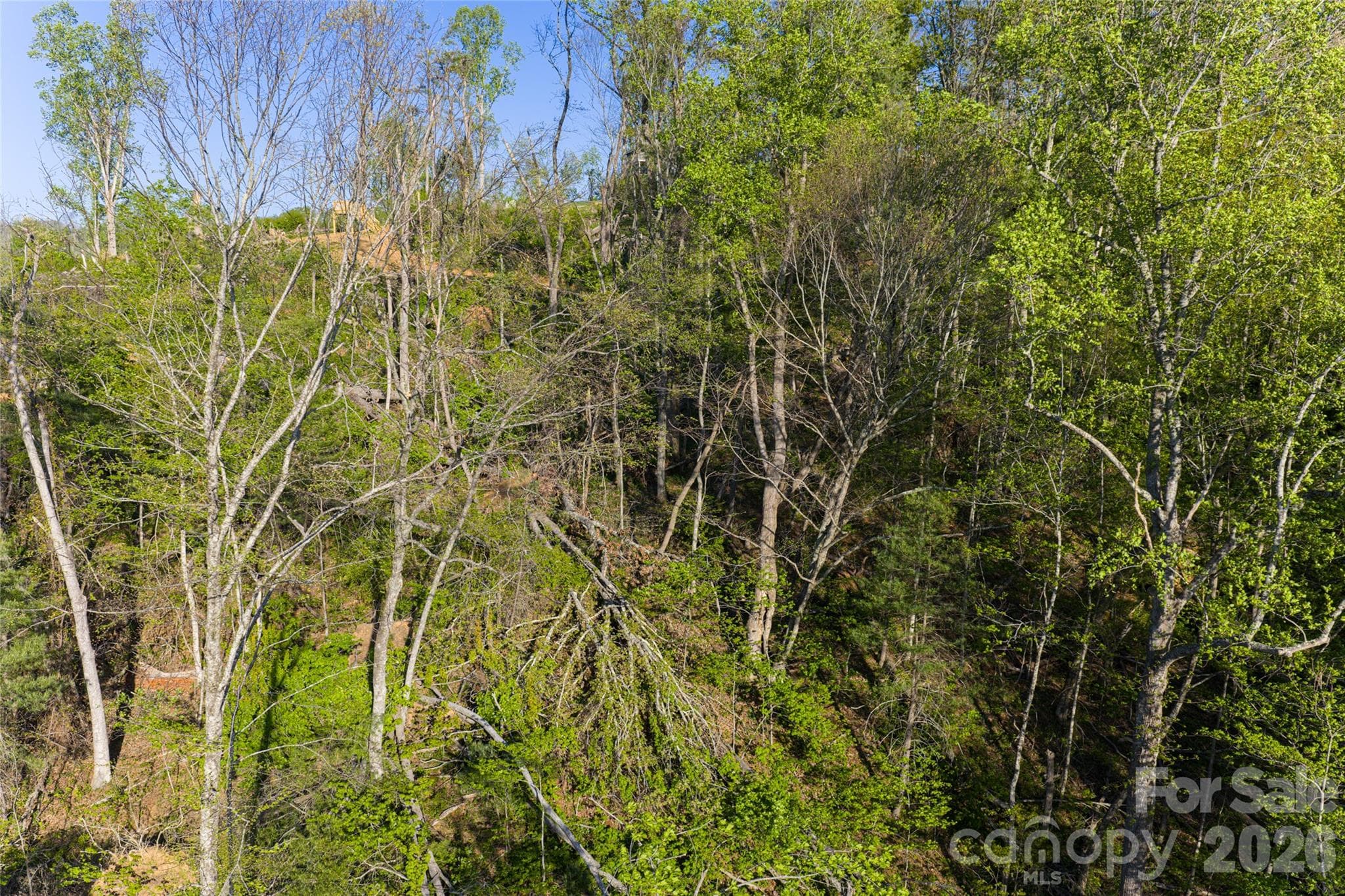Acreage at Asheville, photo 27 of 48