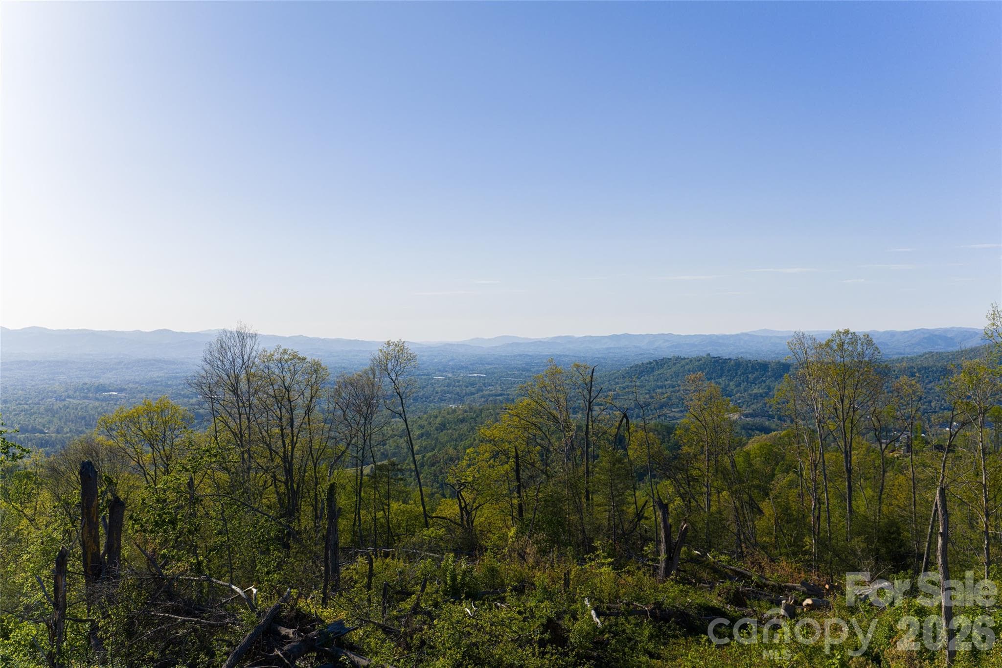 Acreage at Asheville, photo 30 of 48