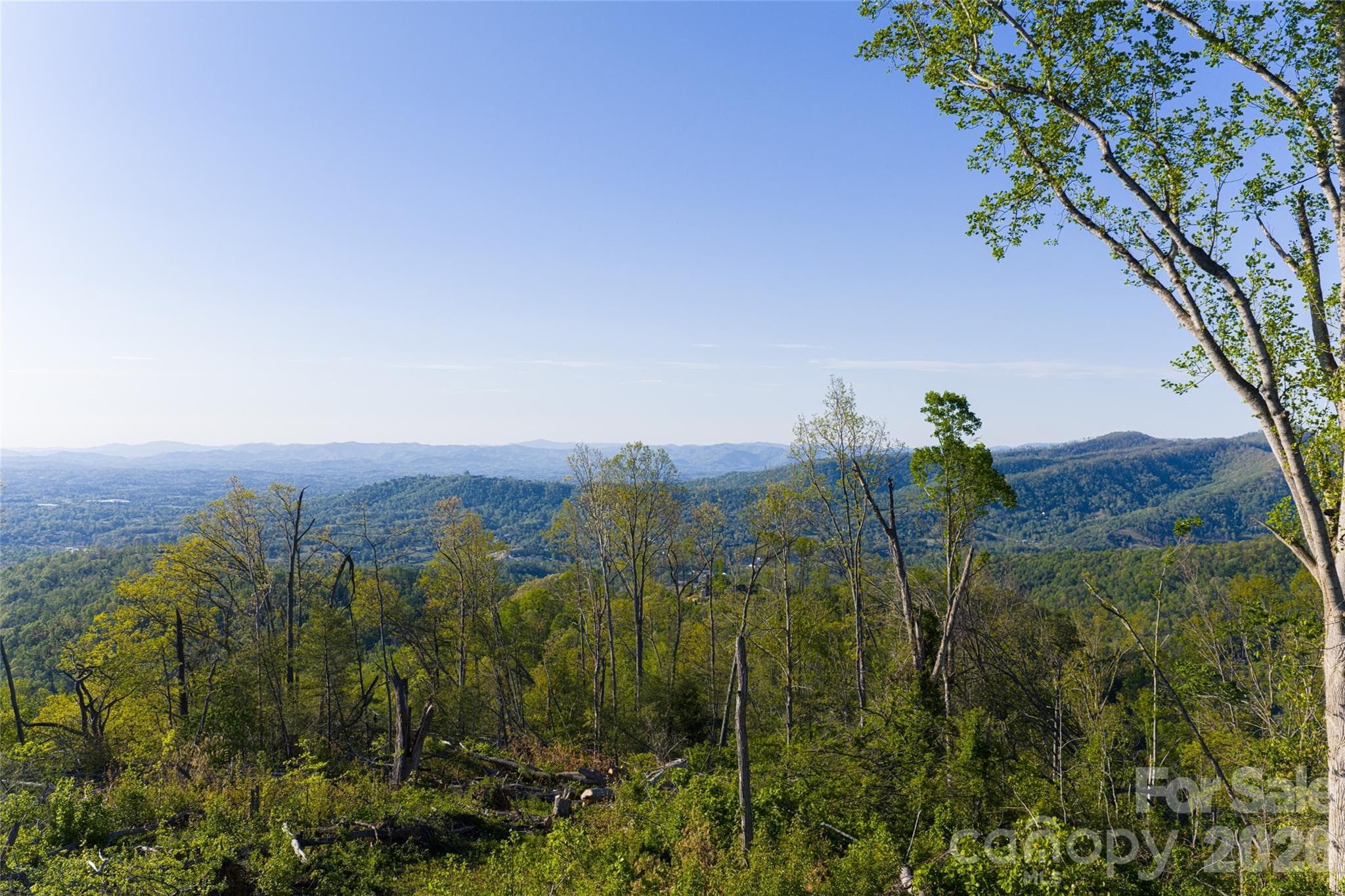 Acreage at Asheville, photo 31 of 48