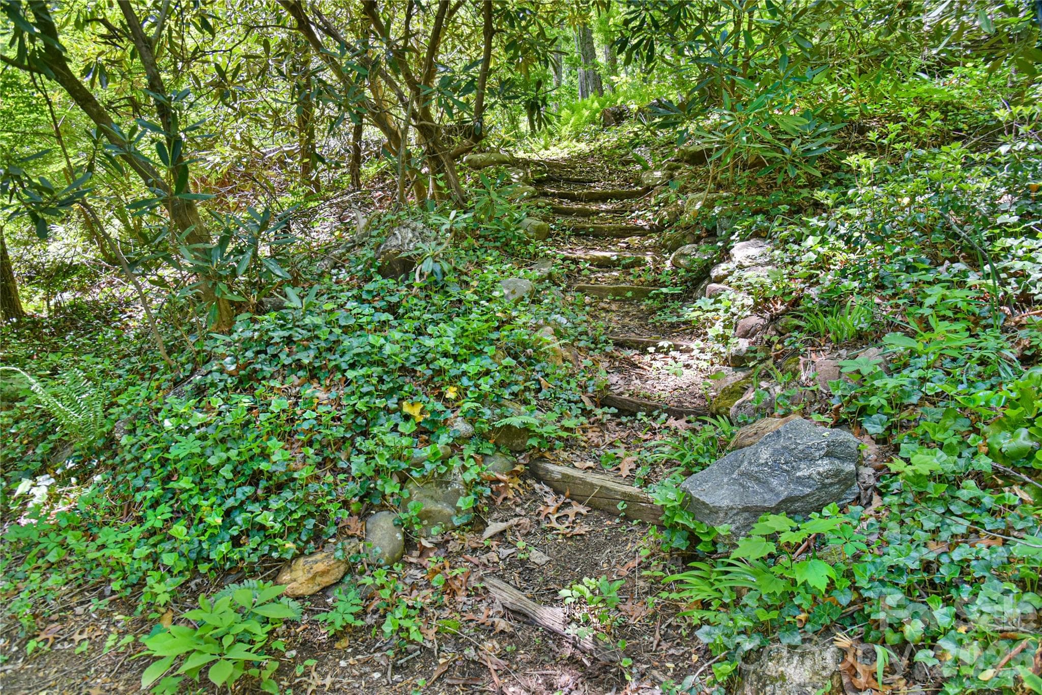 Meditation areas - Black Mountain