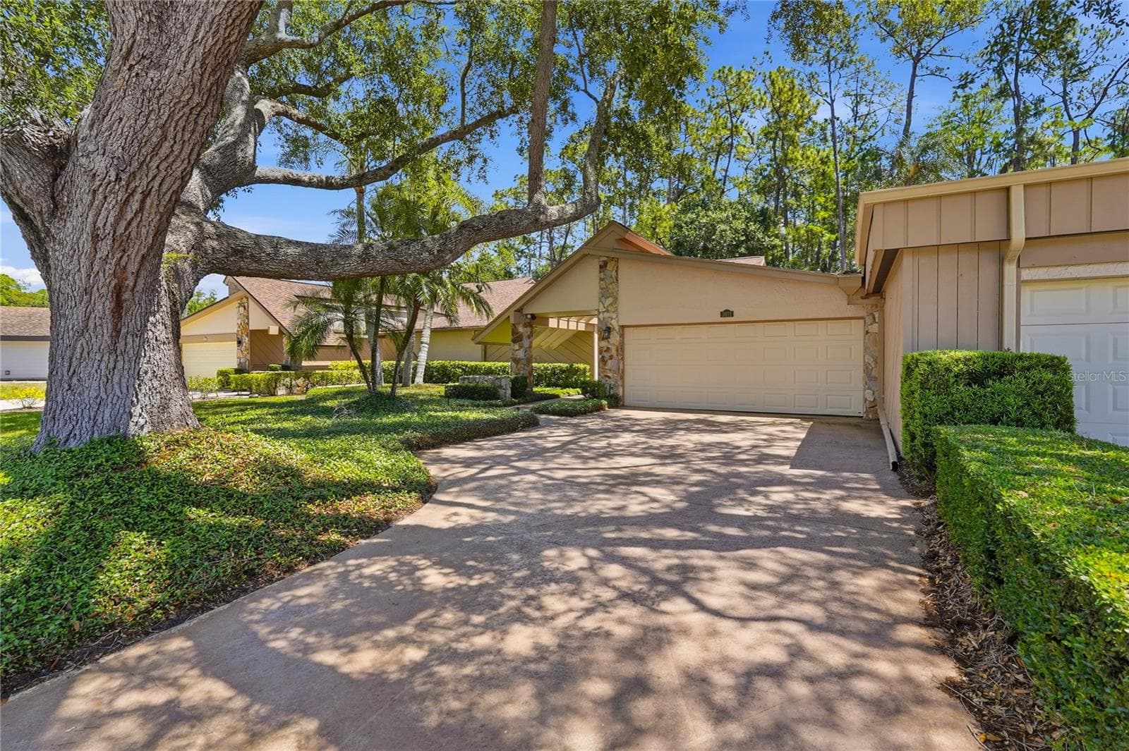 Front of Home - 3071 BOLT DR, PALM HARBOR