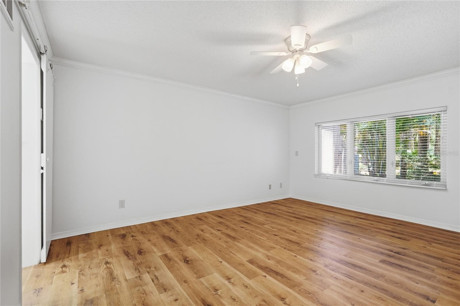 Primary Bedroom - 3071 BOLT DR, PALM HARBOR