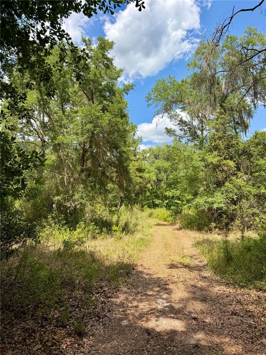 Land at 16500 NE 48TH AVE, CITRA, photo 5 of 17