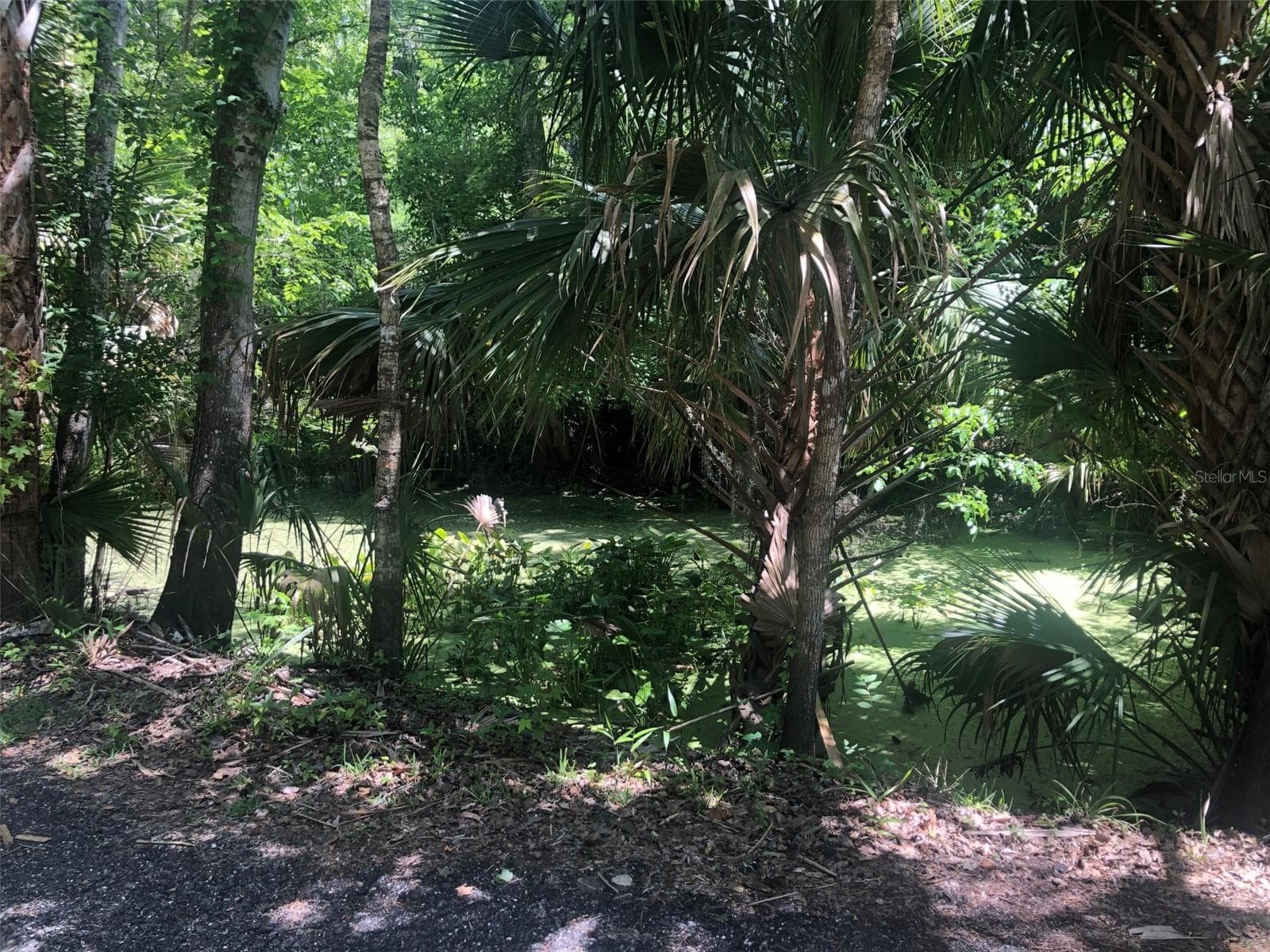 Land at 241 NOVA DR, SANFORD, photo 7 of 14