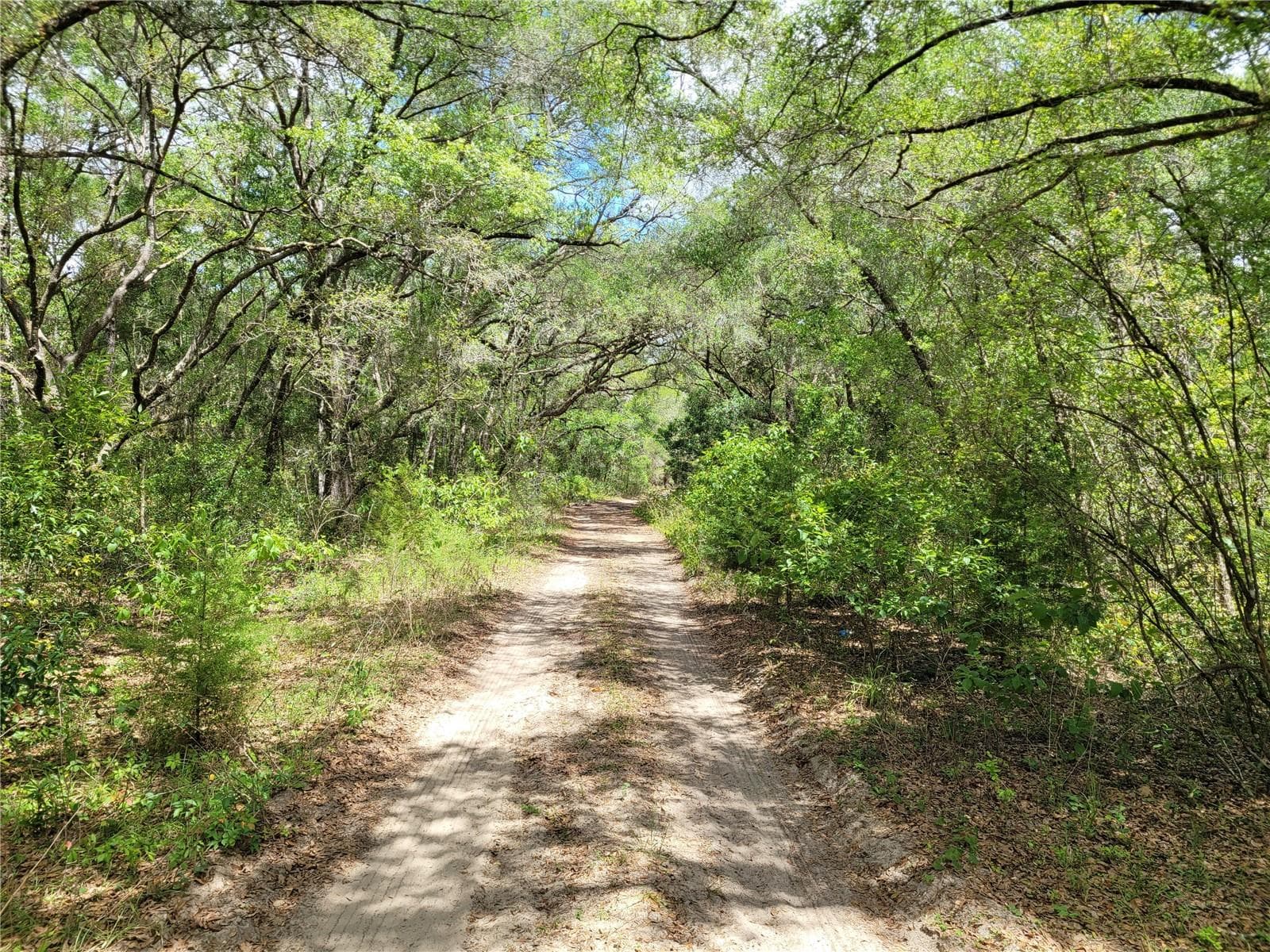 Land at 910 FERNCREEK AVE, INVERNESS, photo 4 of 5