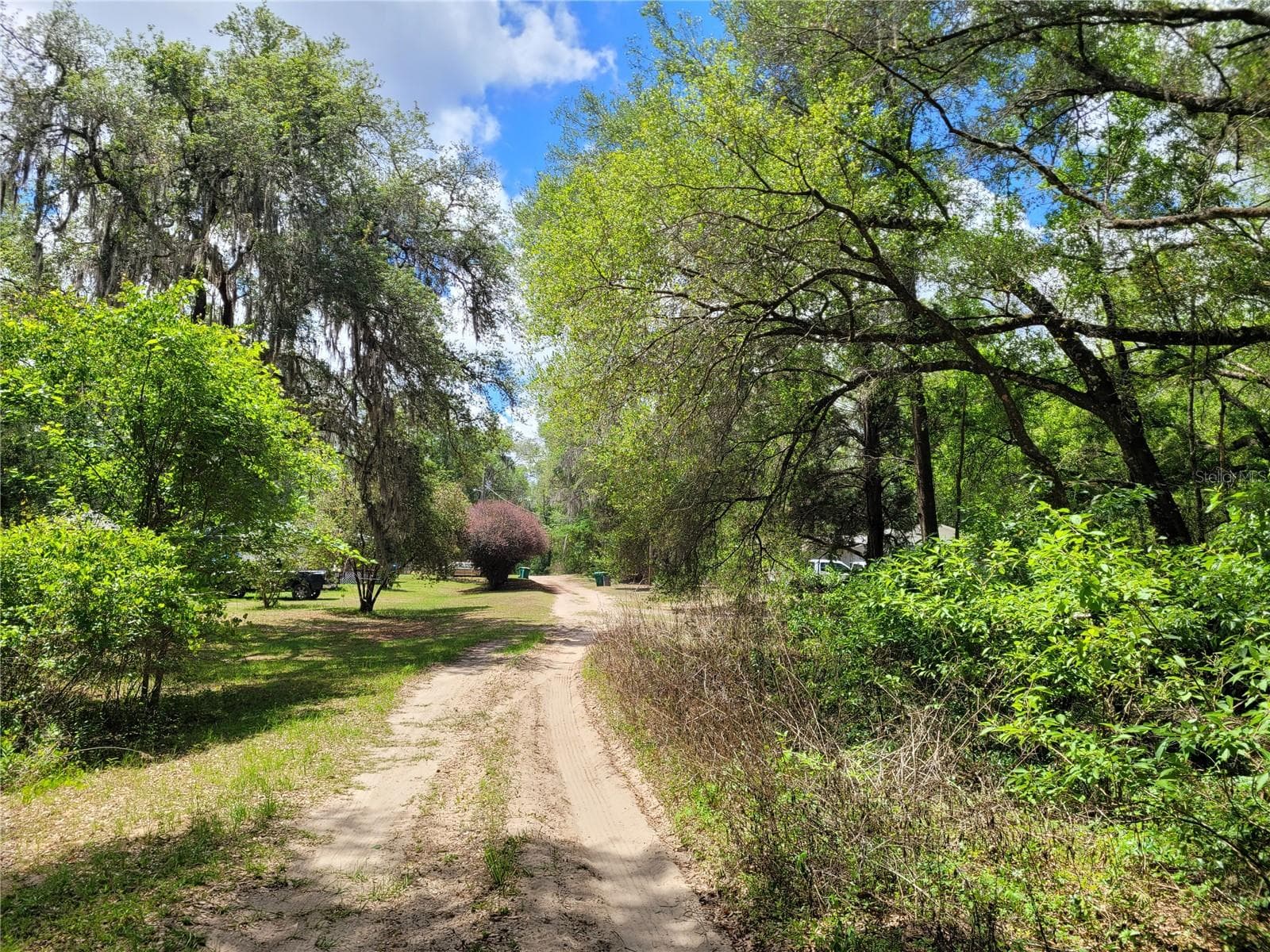 Land at 910 FERNCREEK AVE, INVERNESS, photo 5 of 5