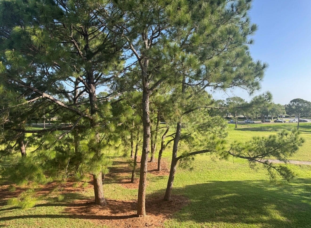 Condominium at 13953 FAIRWAY ISLAND DR #633, ORLANDO, photo 18 of 25