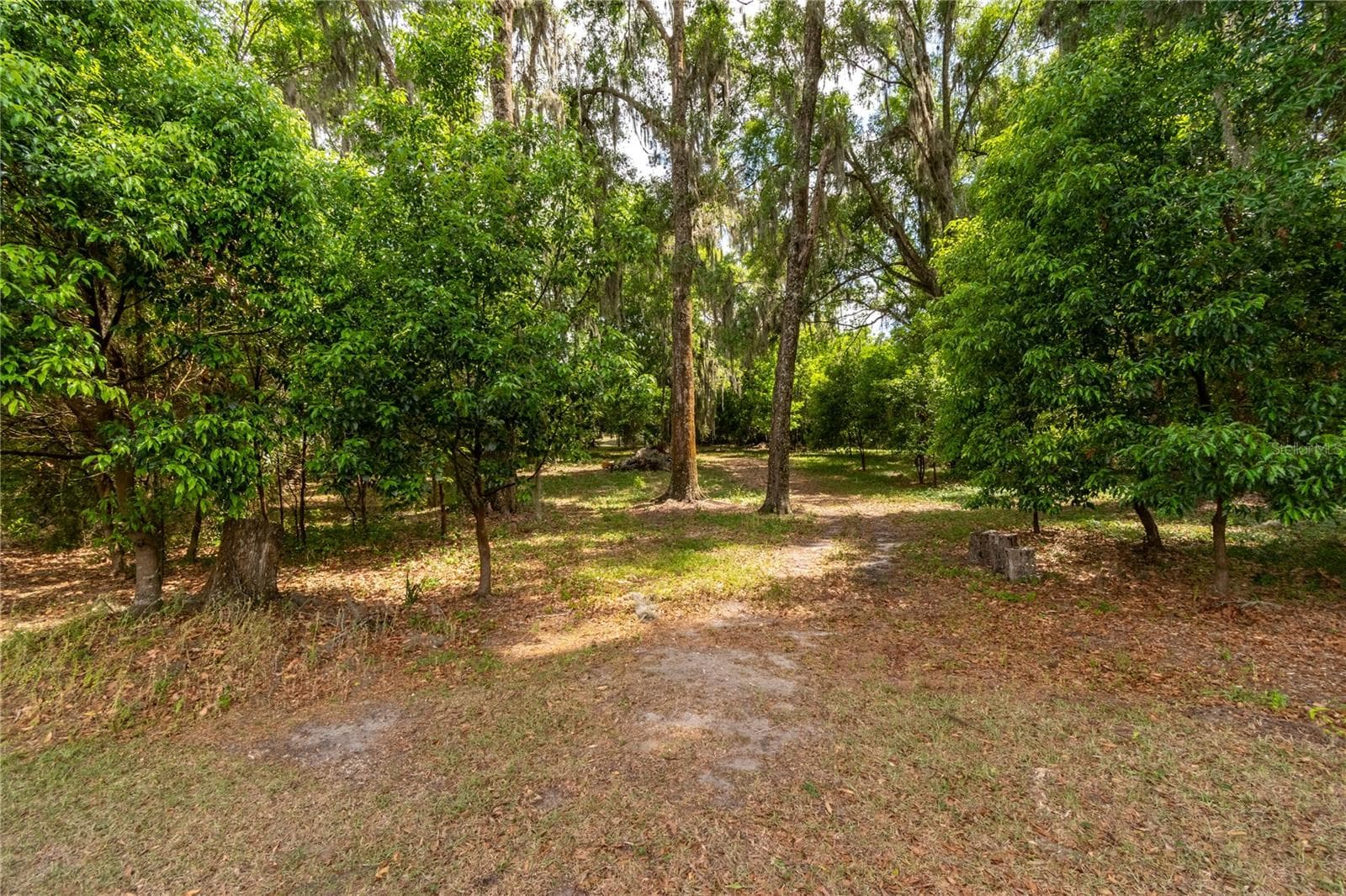Single Family Residence at 5021 NW 101ST STREET RD, OCALA, photo 65 of 85