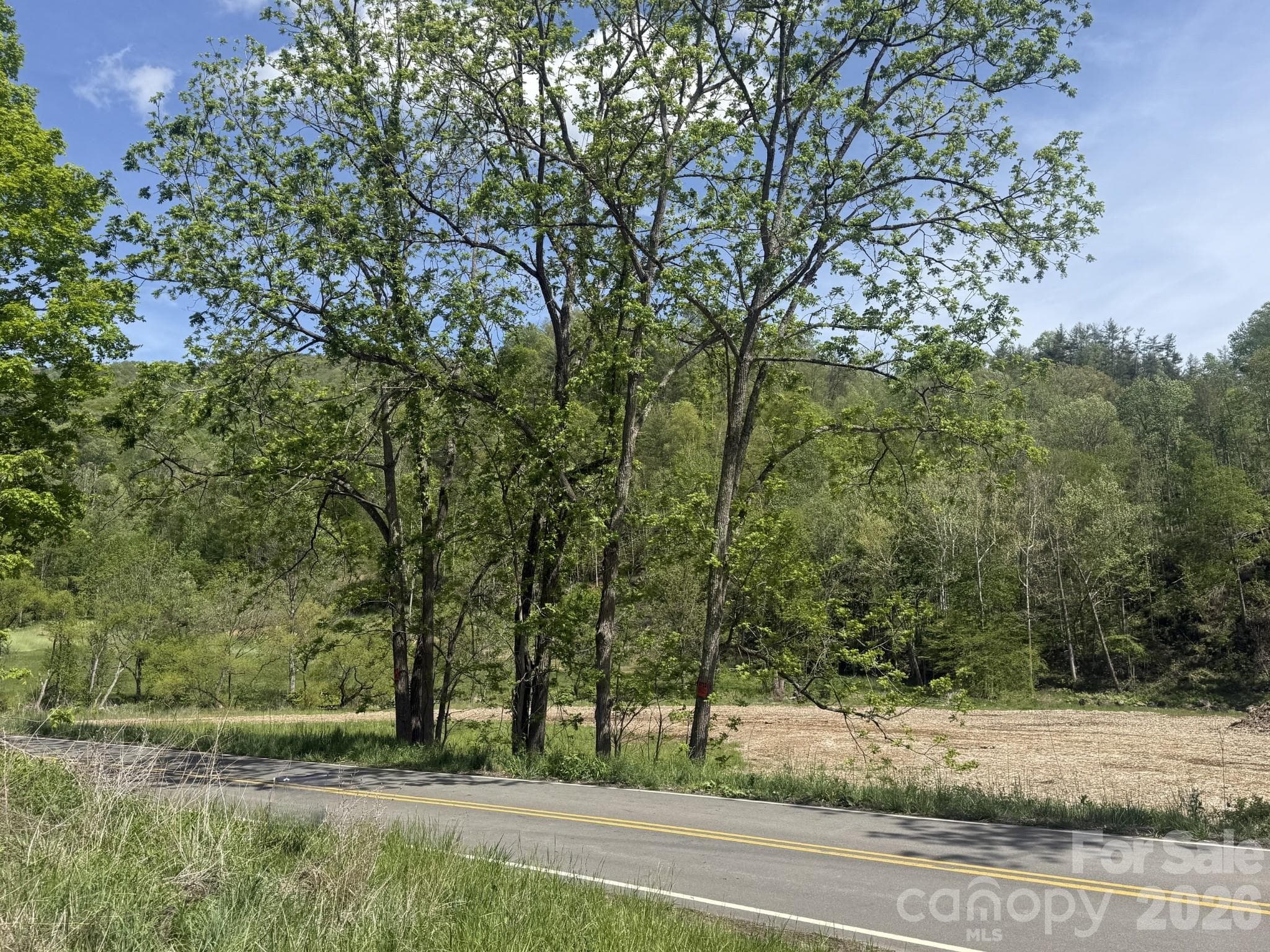 Acreage at Bakersville, photo 2 of 4
