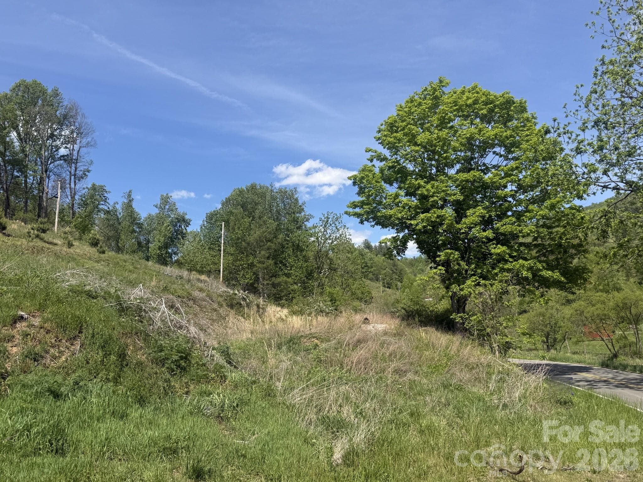 Acreage at Bakersville, photo 3 of 4
