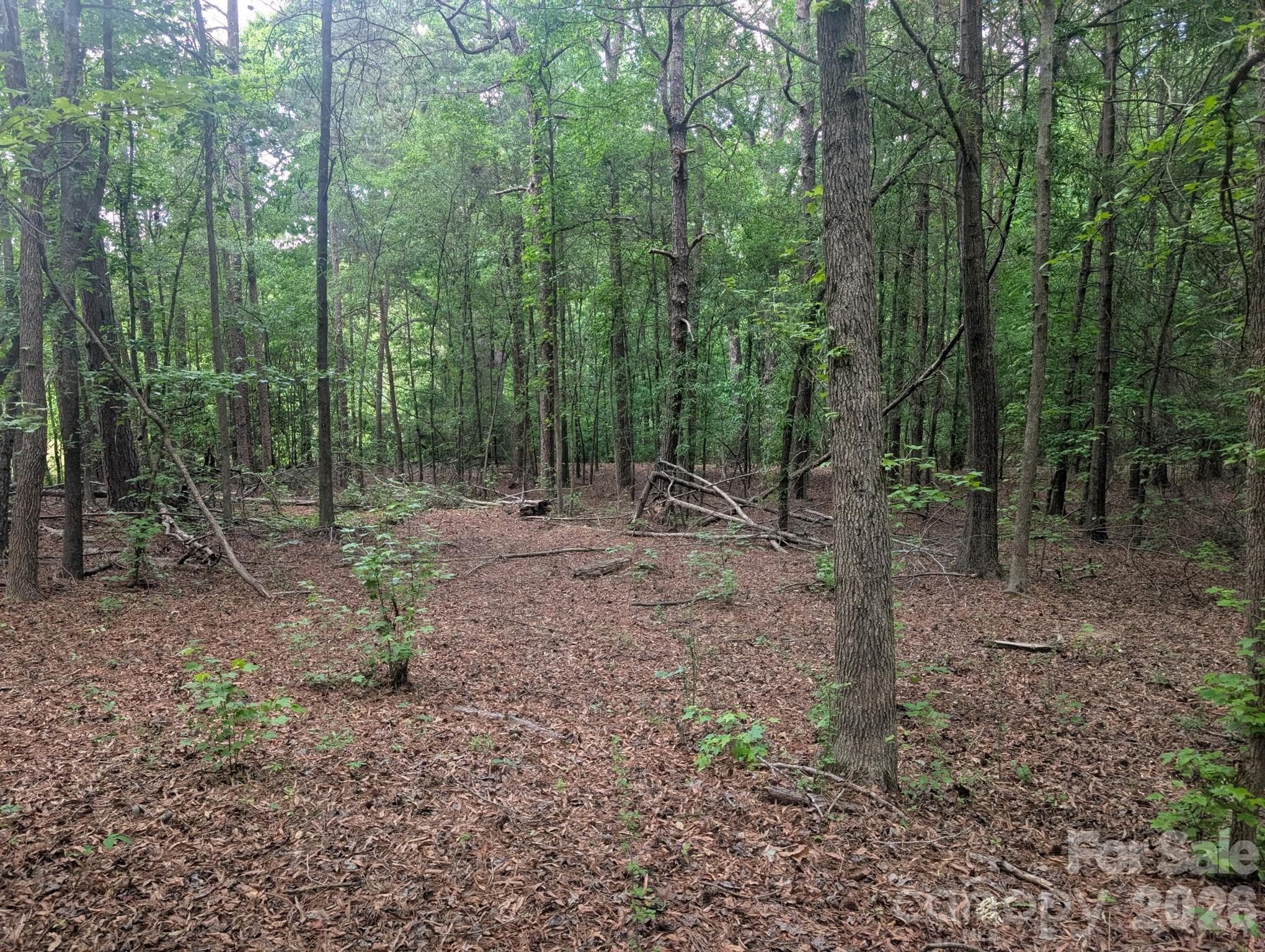 Lot at 1.29 Acres 320 W Red Cross Road, Oakboro, photo 2 of 7