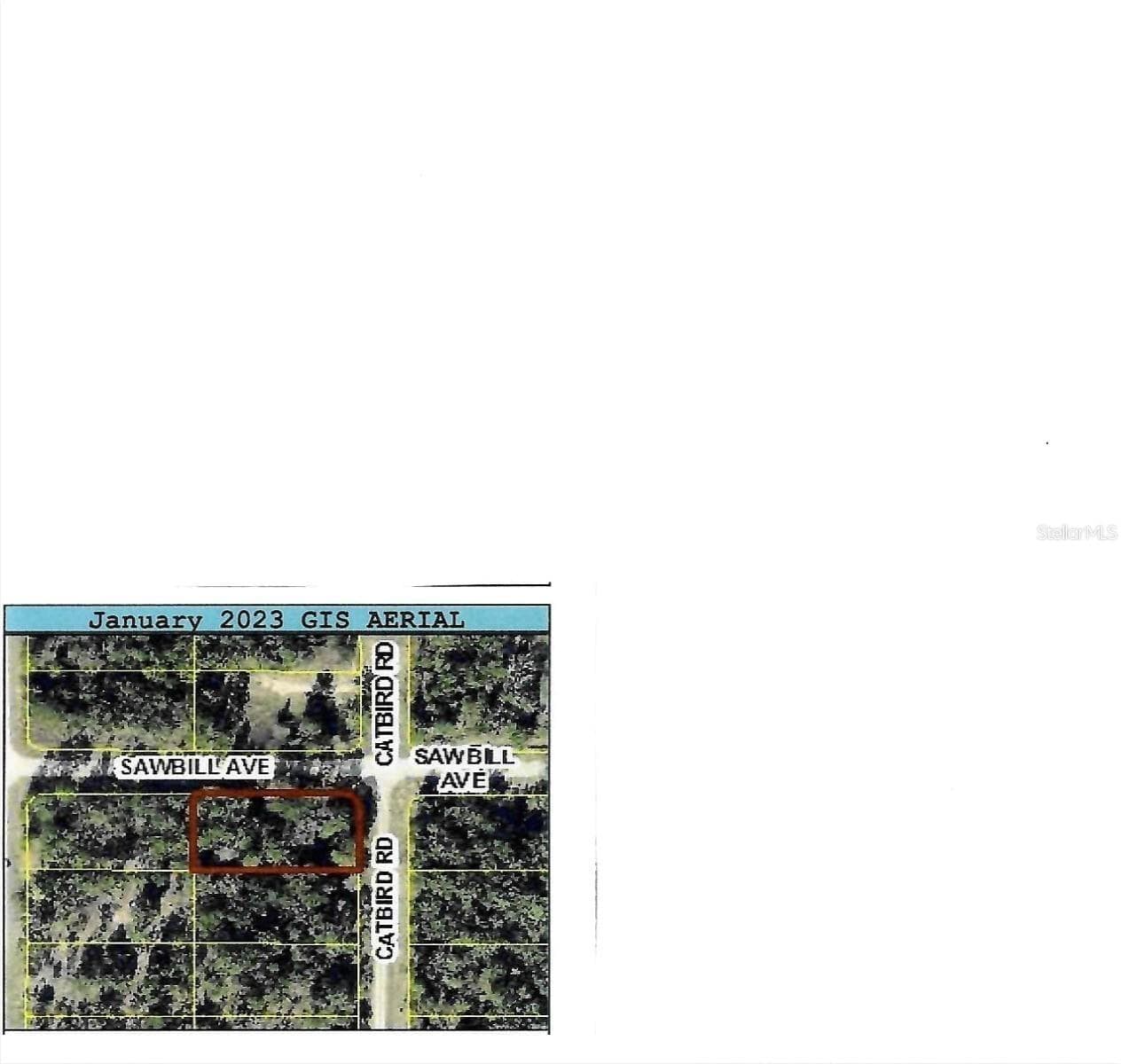 CATBIRD RD