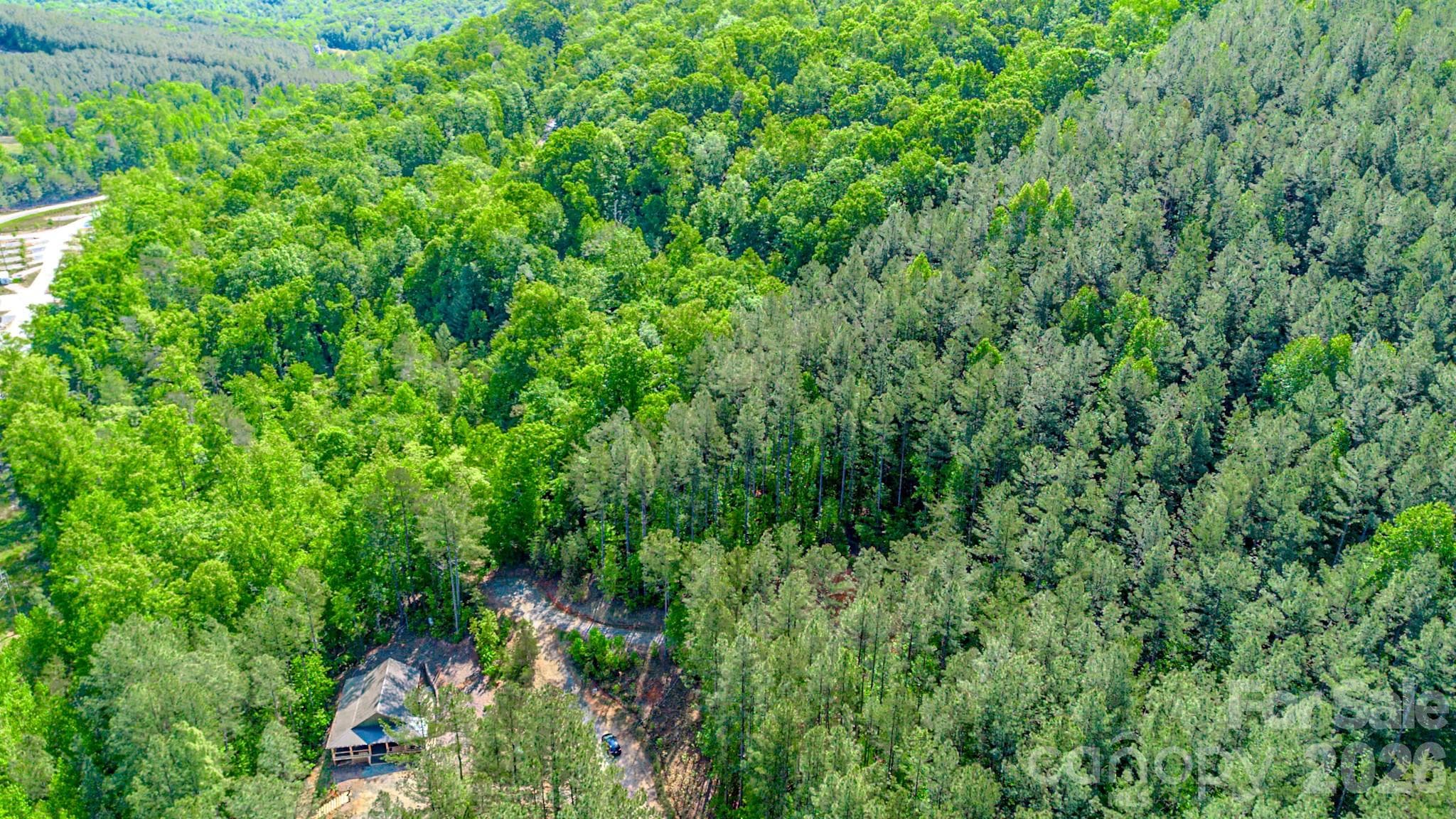 Lot at 146 S Branch Drive, Bostic, photo 3 of 30