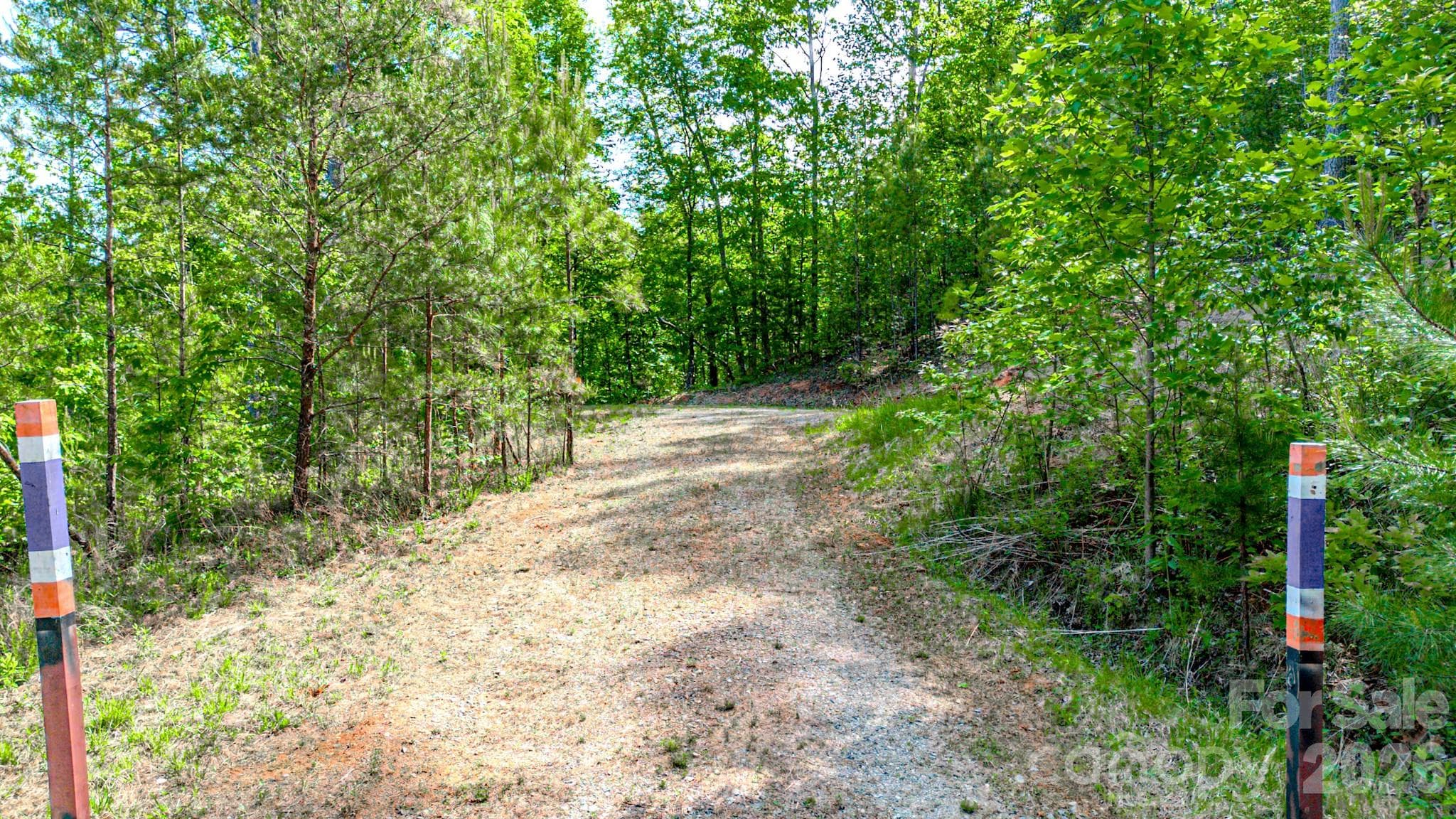 Lot at 146 S Branch Drive, Bostic, photo 4 of 30