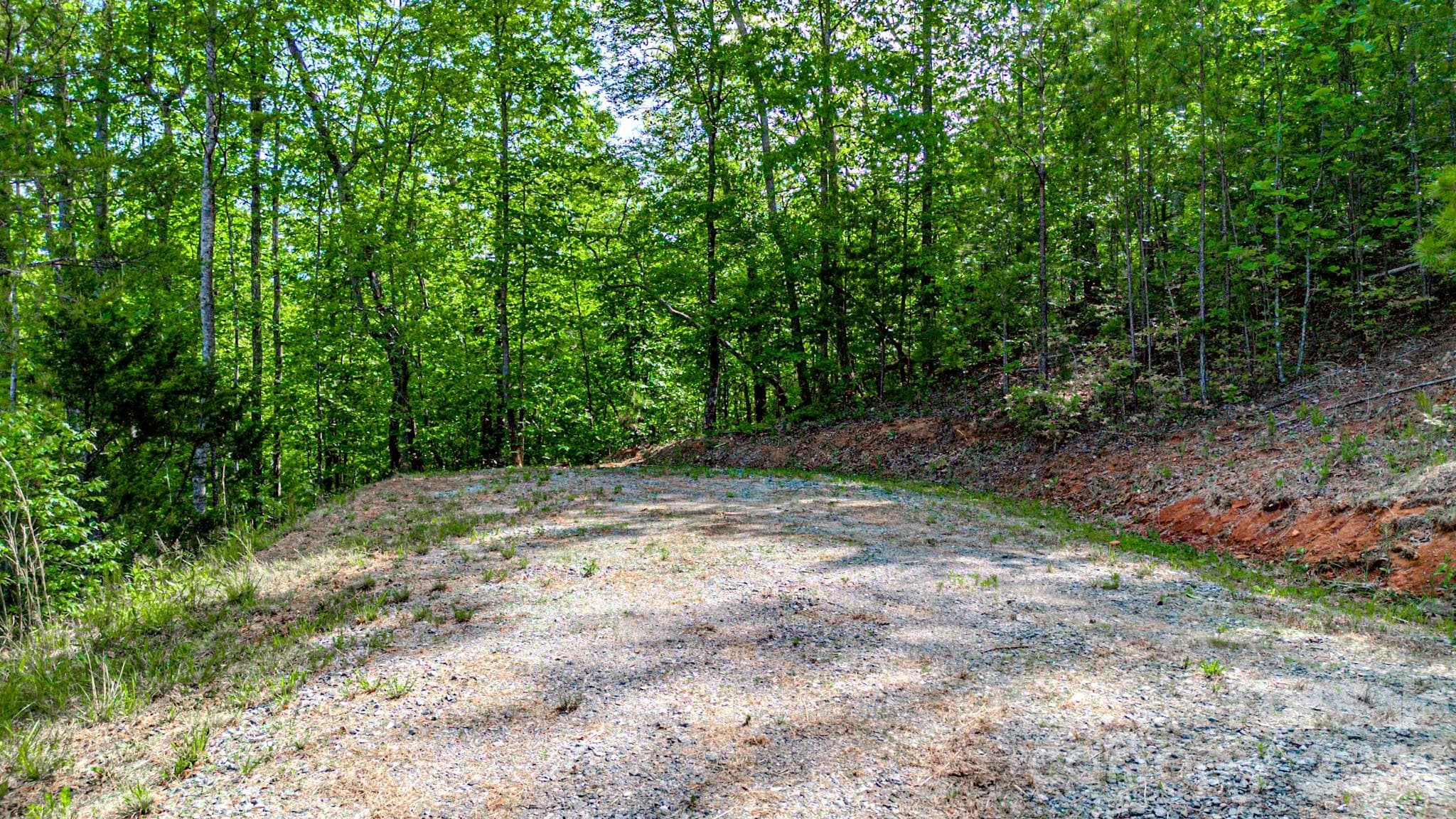 Lot at 146 S Branch Drive, Bostic, photo 6 of 30