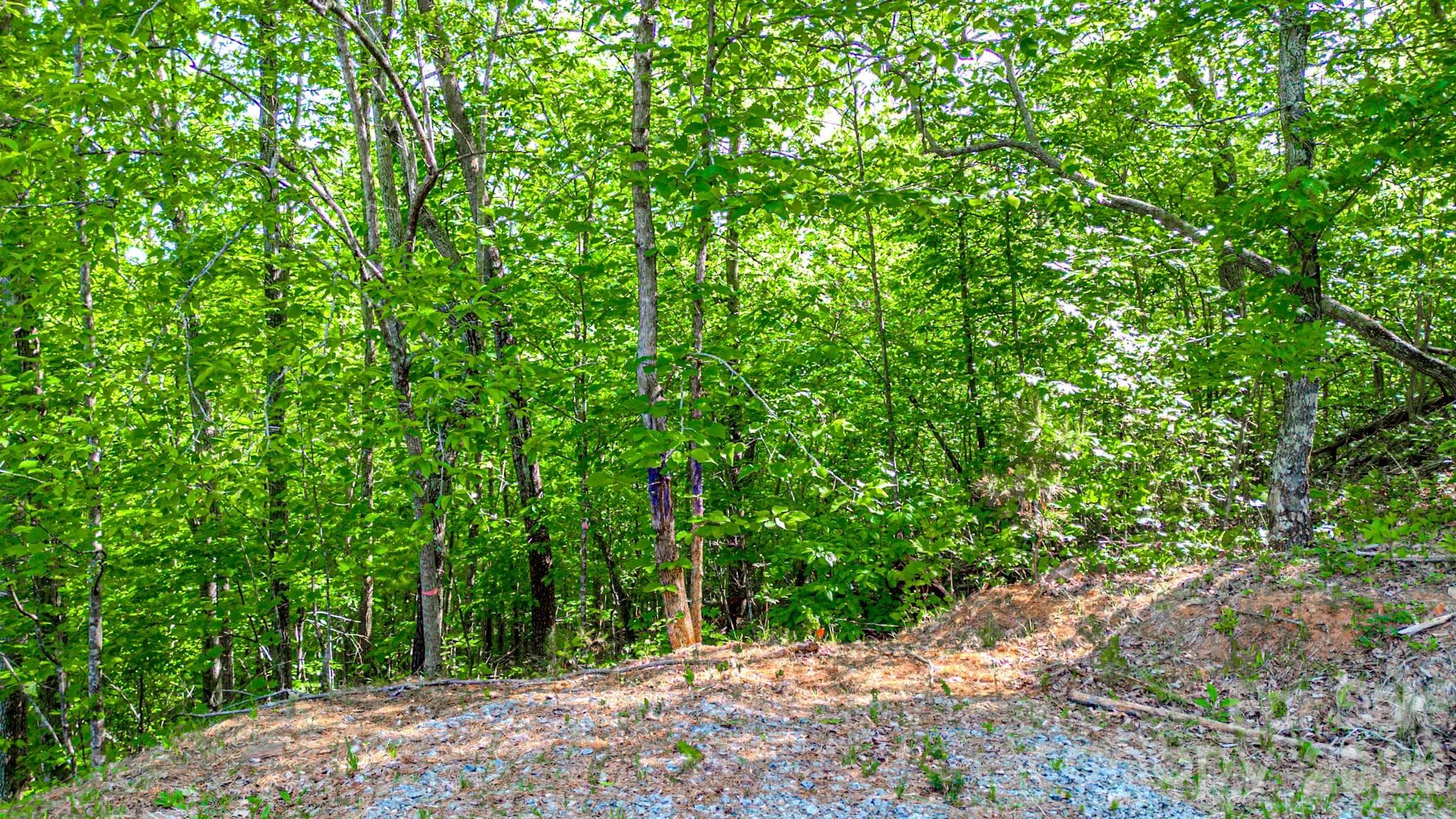 Lot at 146 S Branch Drive, Bostic, photo 7 of 30