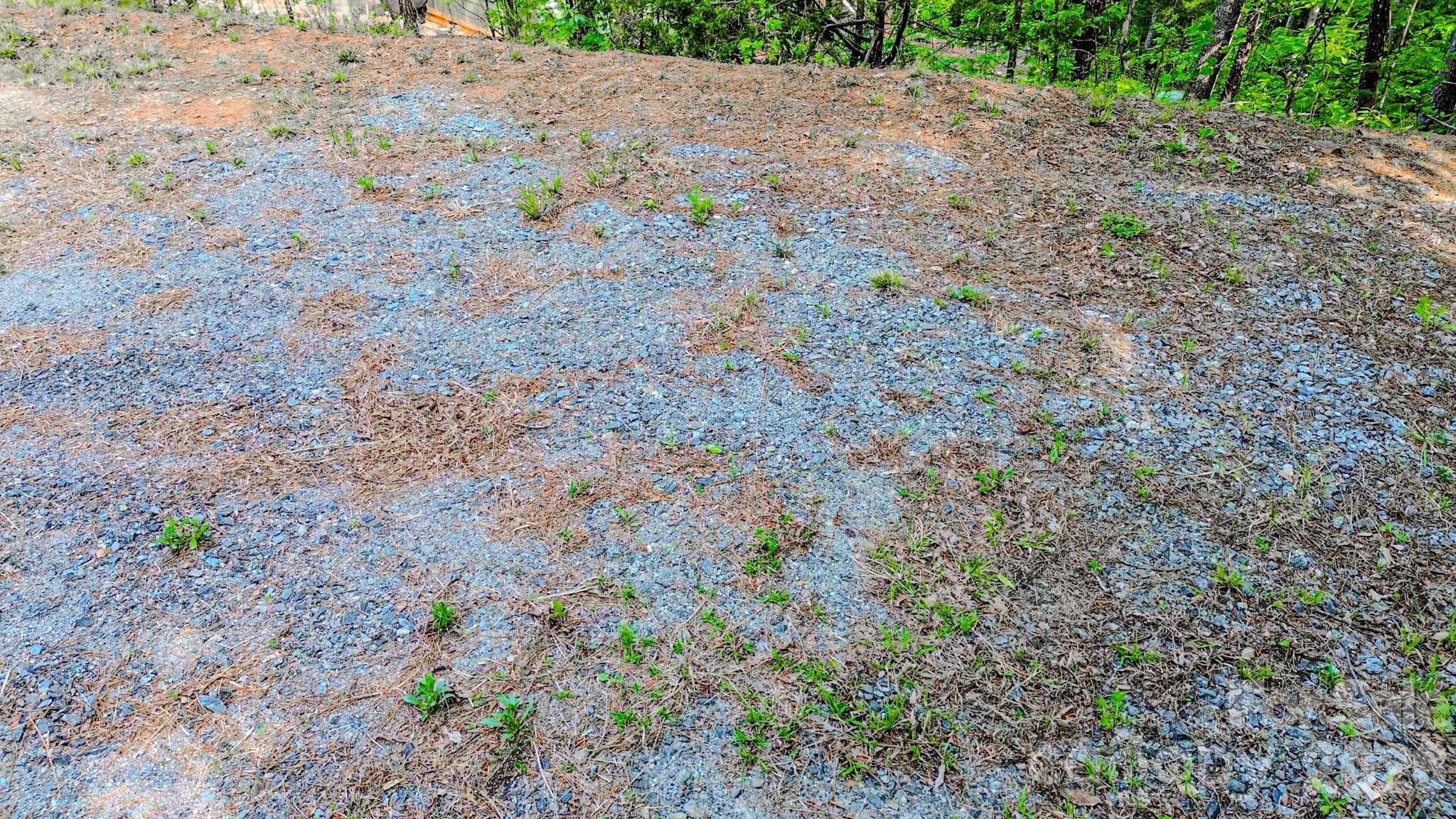 Lot at 146 S Branch Drive, Bostic, photo 9 of 30