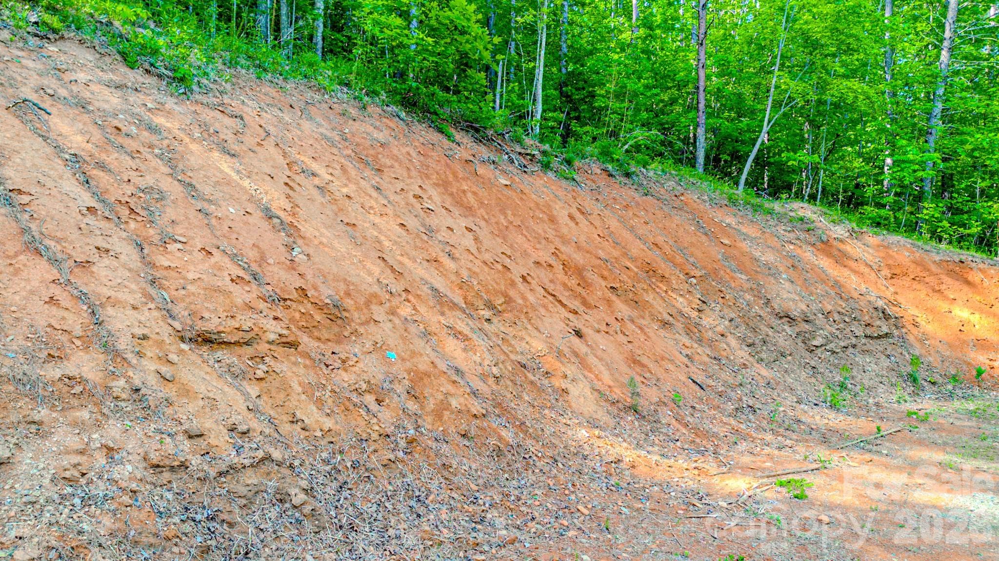 Lot at 146 S Branch Drive, Bostic, photo 13 of 30