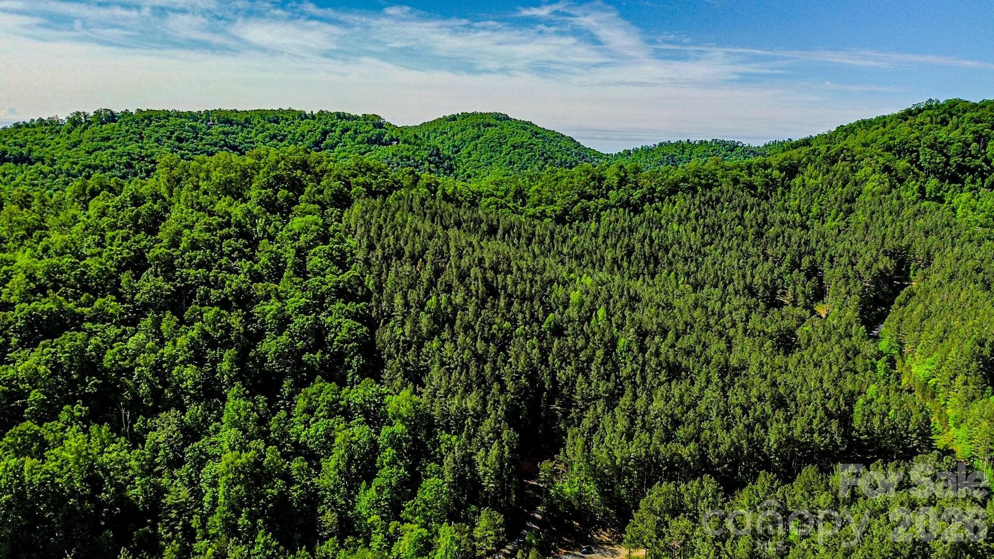 Lot at 146 S Branch Drive, Bostic, photo 24 of 30